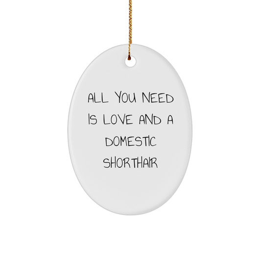 Domestic Shorthair Cat Lovers Gifts from Family - All You Need Is Love And A Domestic Shorthair - Oval Ornament for Christmas - Image 1
