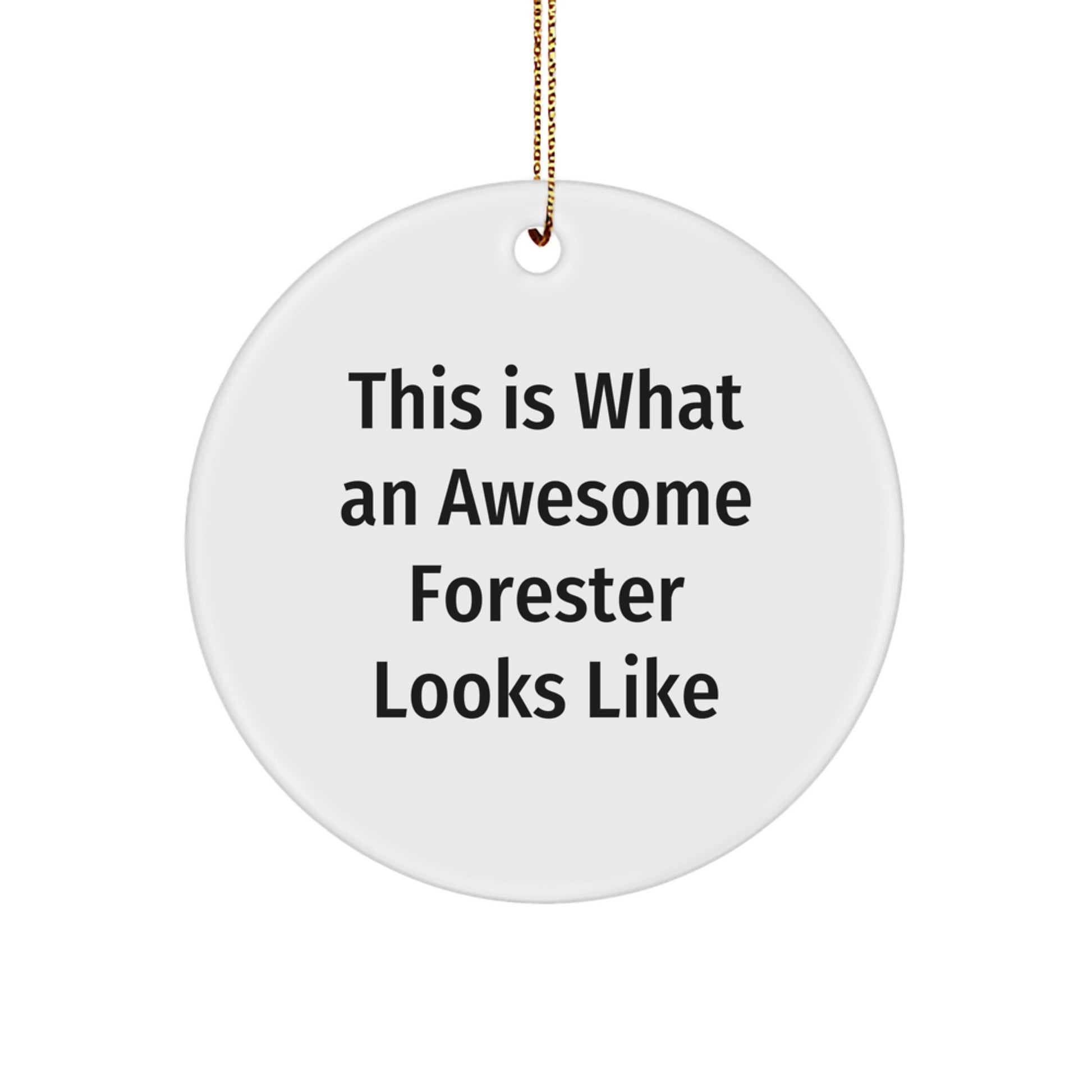 Forester Gifts from Friends - Circle Ornament with Inspirational Quote - Christmas Unique Gifts for Foresters - Image 1