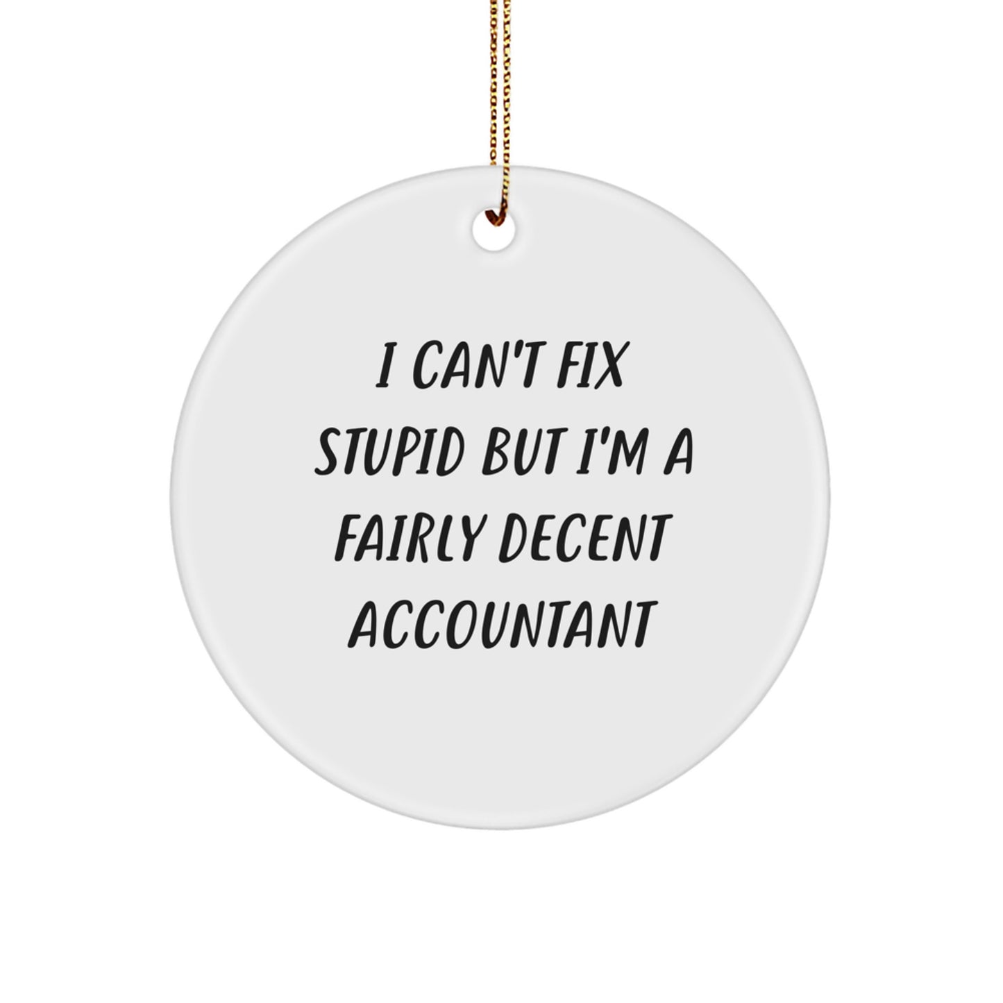 Funny Accountant Gifts for Coworkers, Men, or Women - I Can't Fix Stupid But I'm A Fairly Decent Accountant Circle Ornament for Christmas Unique Gifts - Image 1