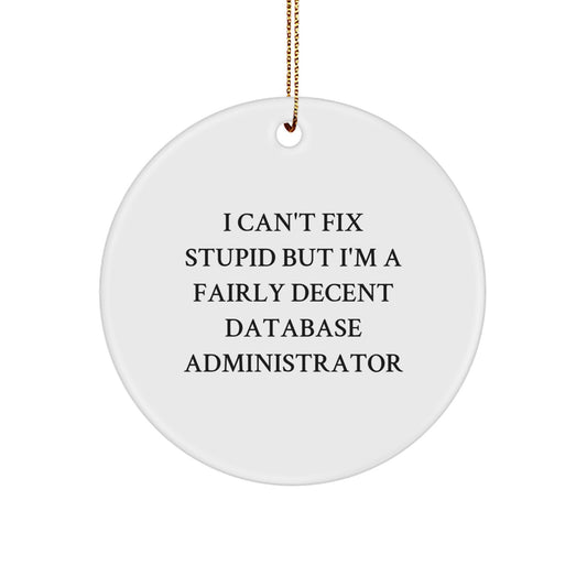 'I Can't Fix Stupid But I'm A Fairly Decent Database Administrator', Funny Database Administrator Gifts, Christmas Unique Gifts, Circle Ornament, Gifts from Friends, Gifts for Database Administrator - Image 1