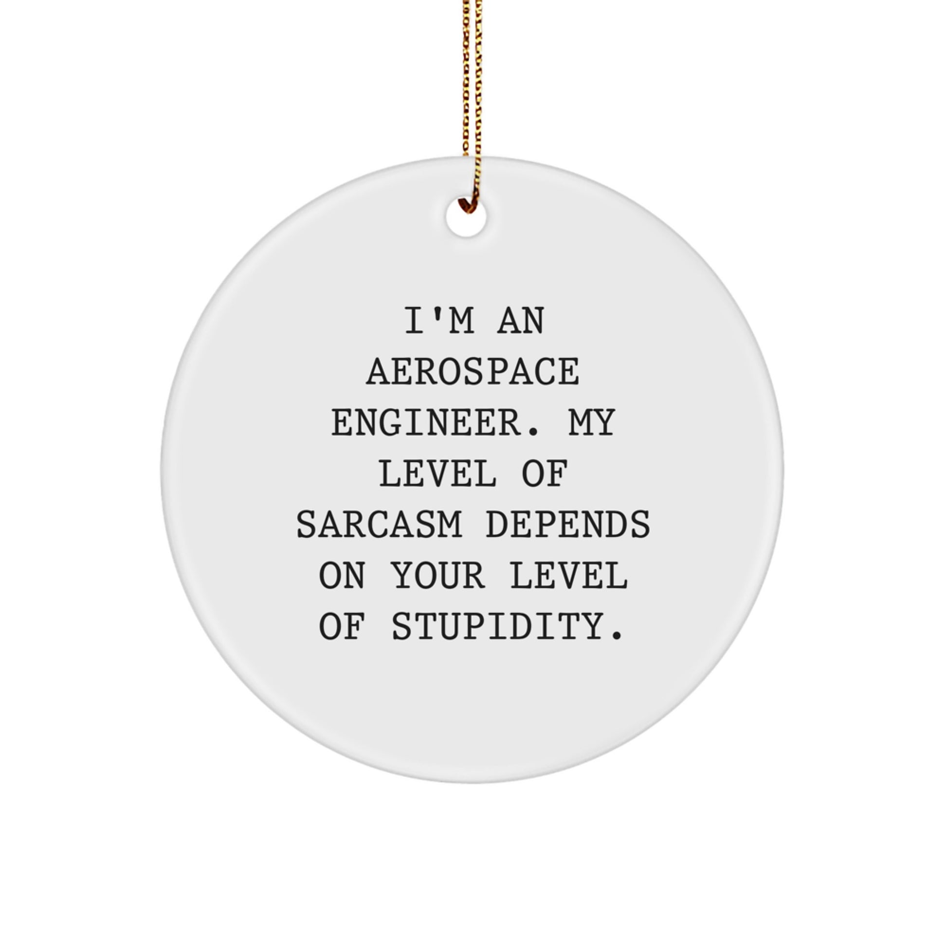 Aerospace Engineer Gifts from Friends and Family - Funny Sarcasm Circle Ornament, White, 2.75\ - Image 1