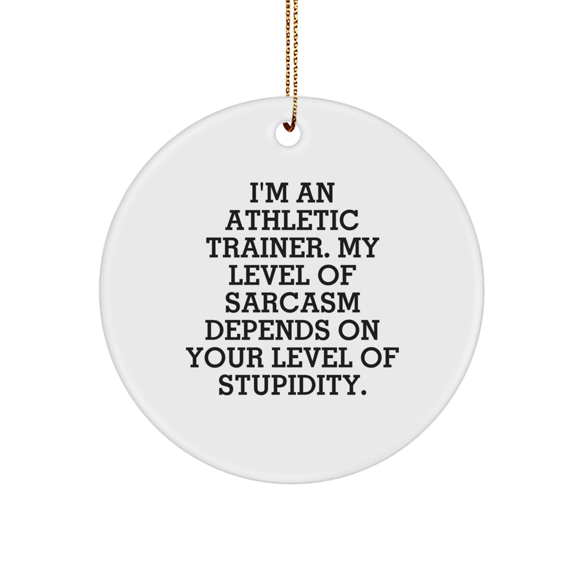 Athletic Trainer Gifts from Friends - Funny Sarcasm Circle Ornament for Christmas - Image 1