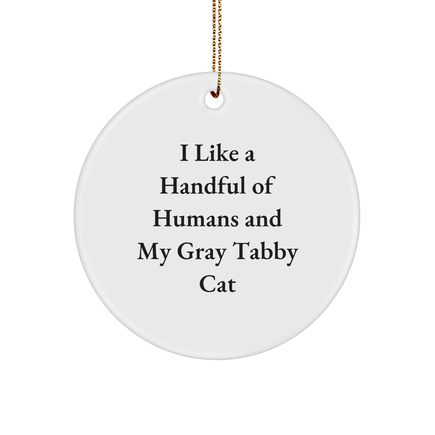 Funny Gray Tabby Cat Circle Ornament Gifts from Friends and Family for Christmas Unique - Image 1