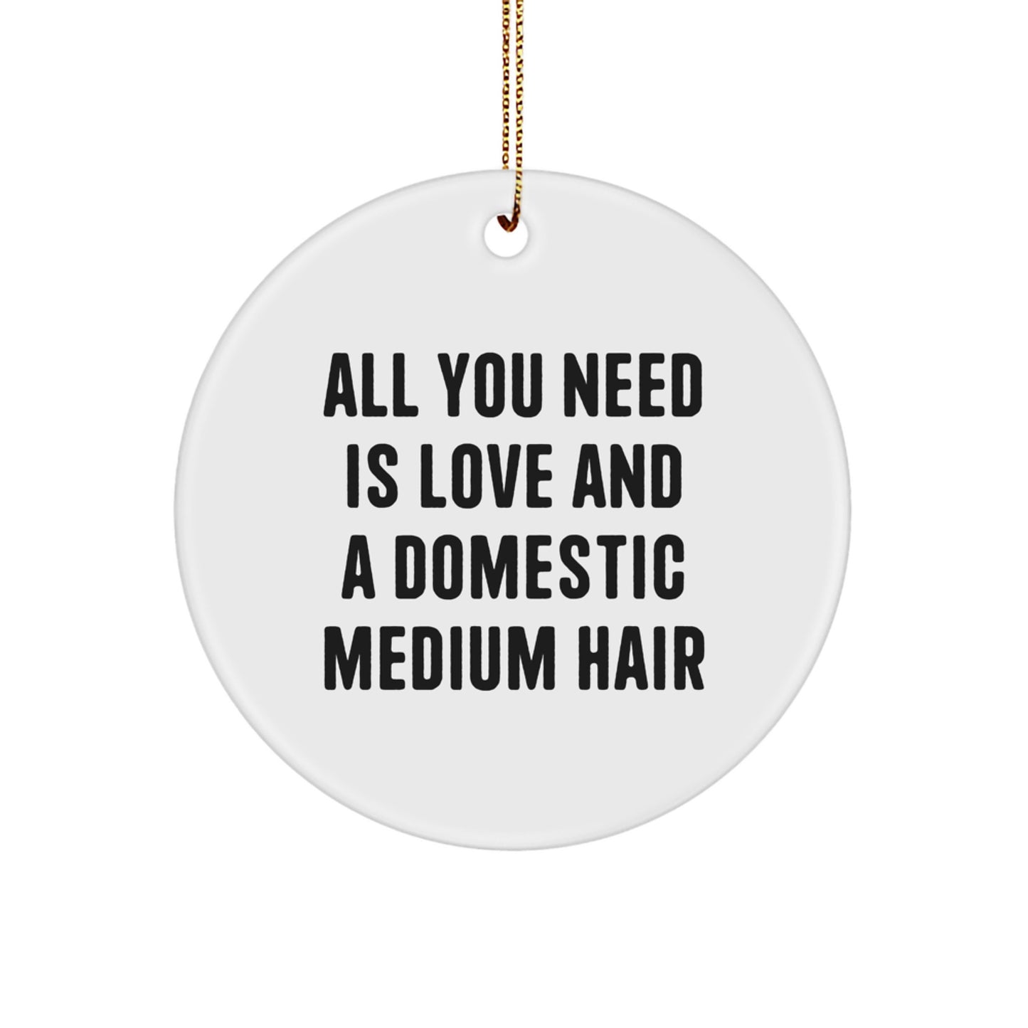 Funny Domestic Medium Hair Cat Circle Ornament, Gifts from Men to Women, Friends, or Family for Christmas Unique Presents - Image 1