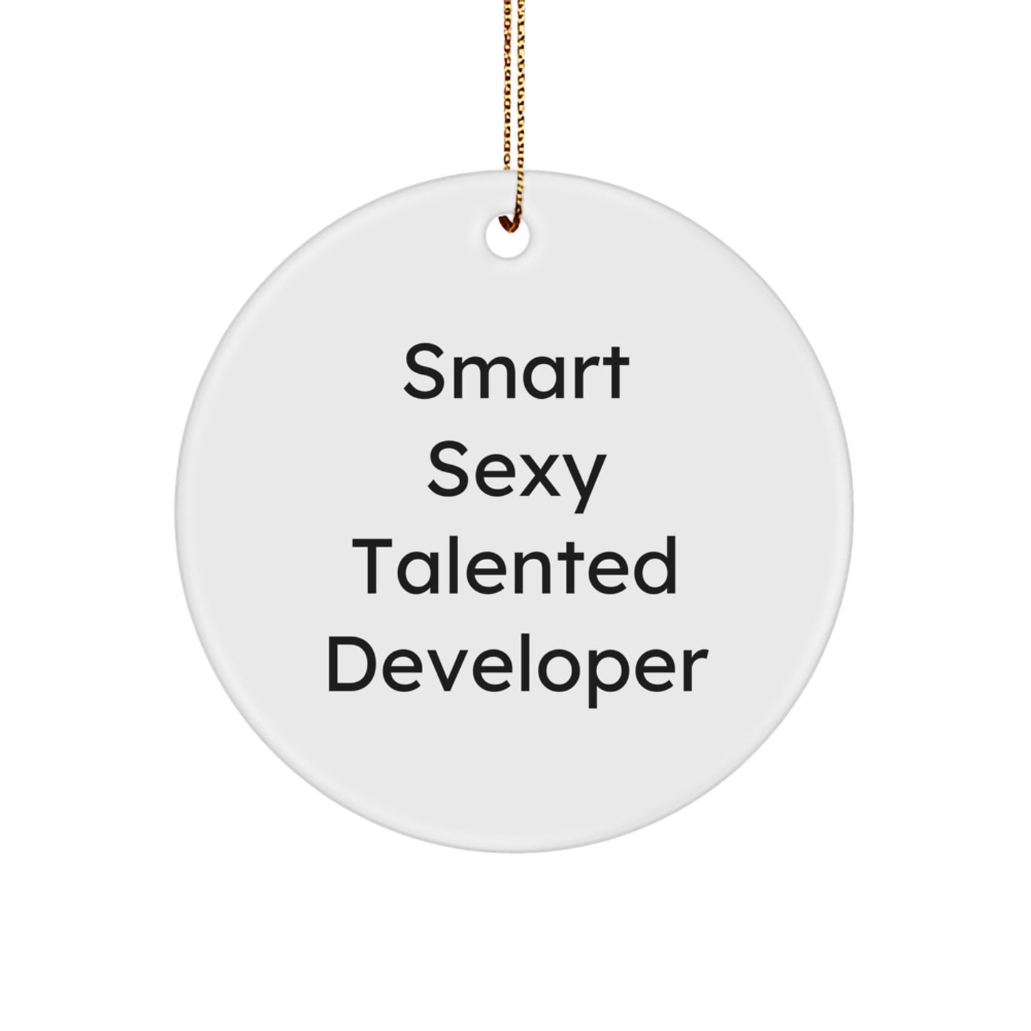 Funny Developer Gifts from Men Friends for Christmas Unique Circle Ornament - Image 1