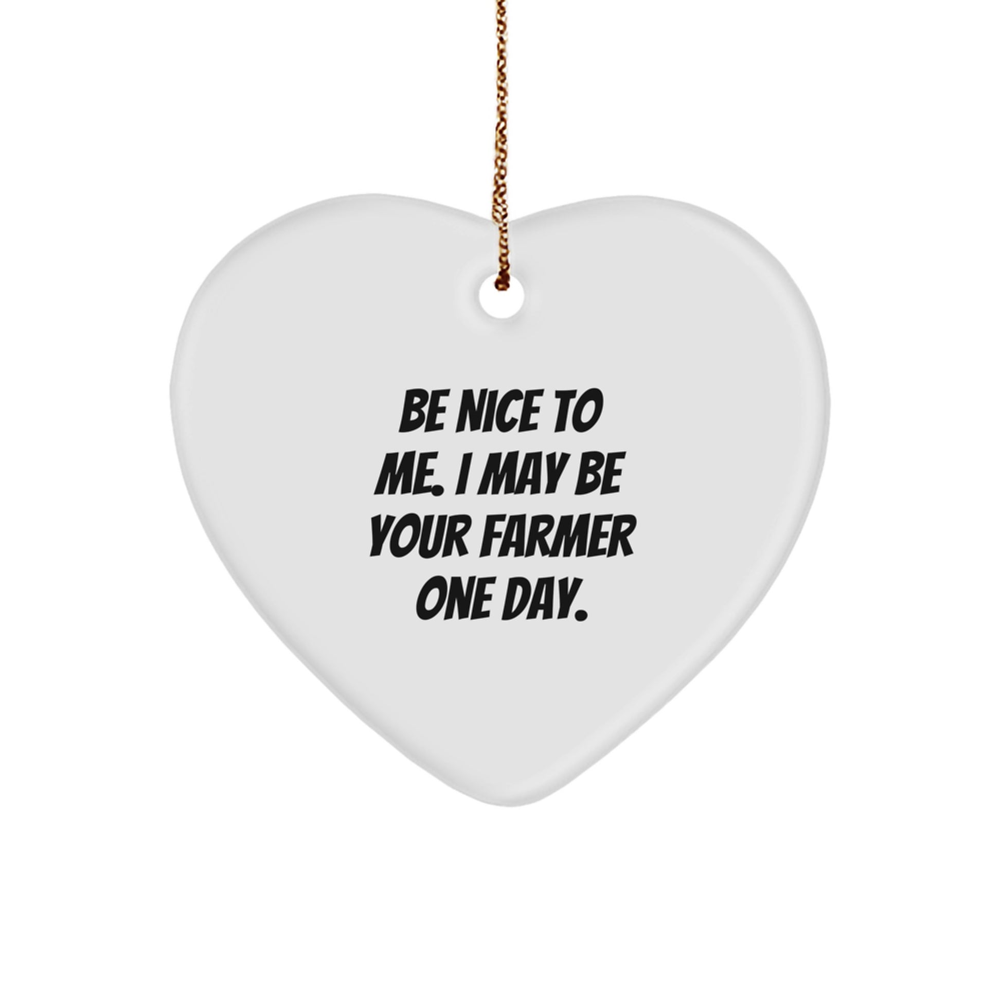 Be Nice to Me Funny Farmer Gifts Heart Ornament for Christmas from Friends to Men - Image 1