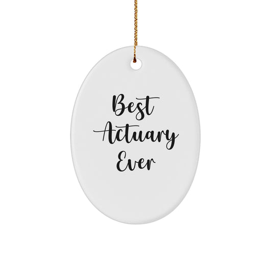 Best Actuary Ever Oval Ornament Gifts from Friends to Actuary on Christmas - Image 1