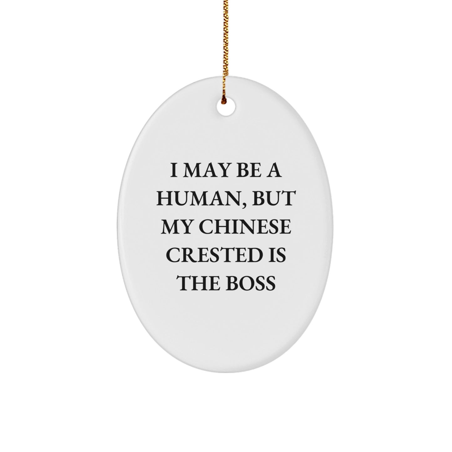 Chinese Crested Dog Lover's Funny Oval Ornament, Gifts from Friends for Chinese Crested Dog, Unique Christmas Unique Gifts - Image 1
