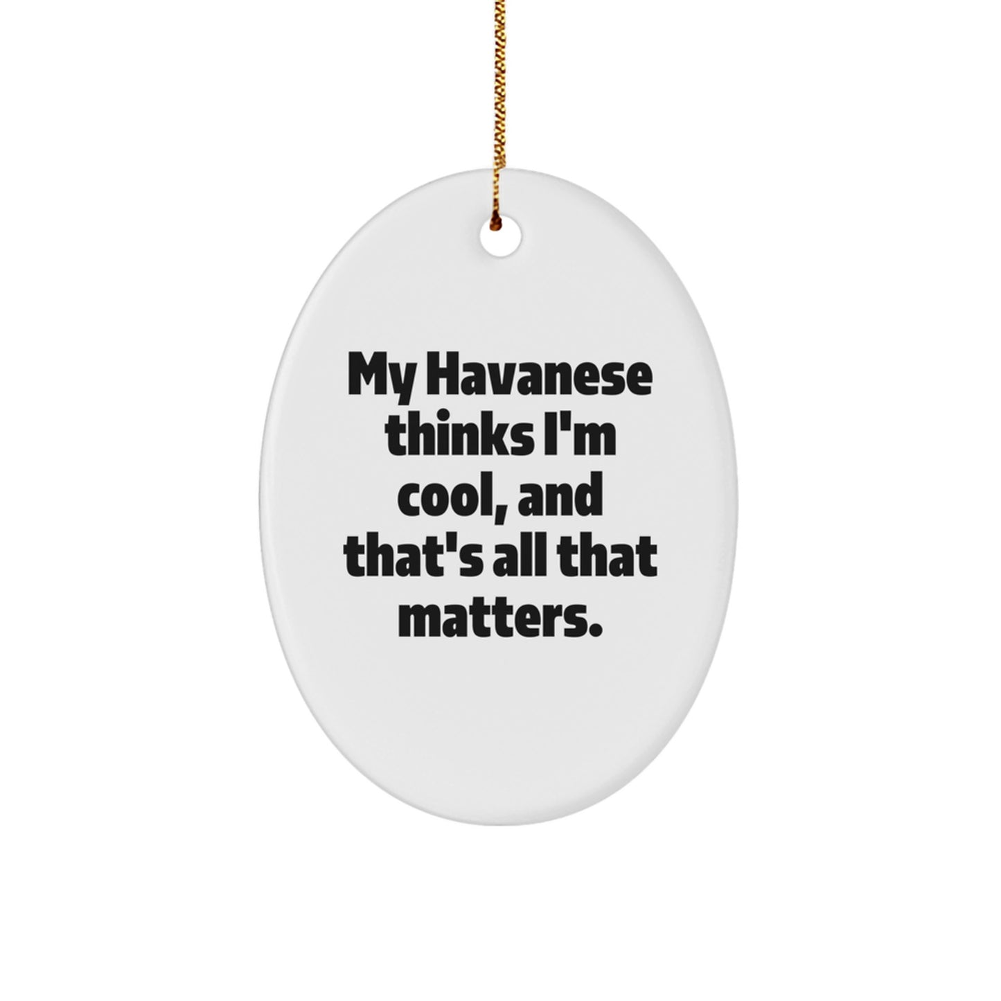 Havanese Dog Lover Gifts, Funny Quote Oval Ornament, Christmas Unique Presents from Friends, Family, Coworkers - Image 1