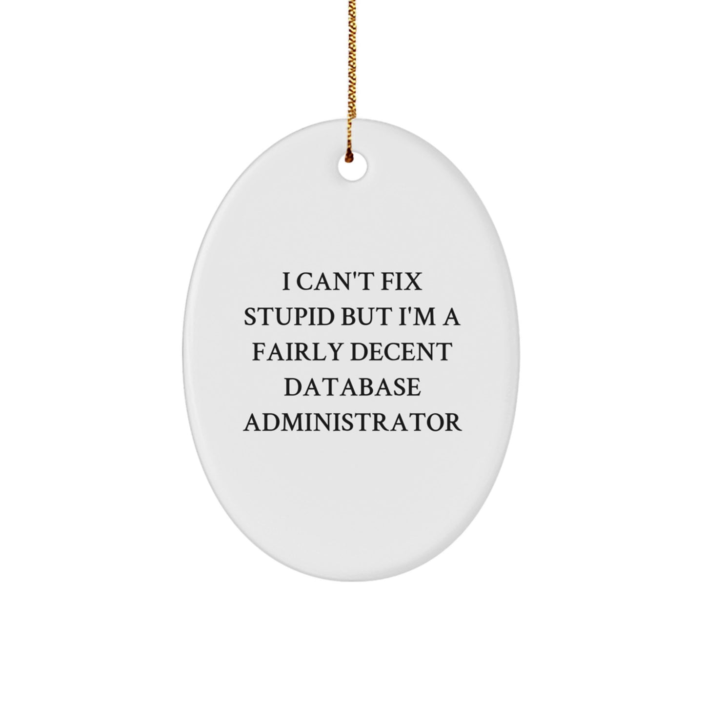 Funny Database Administrator Gifts for Men, Oval Ornament with Encouraging Quote, Gifts from Friends and Family - Image 1