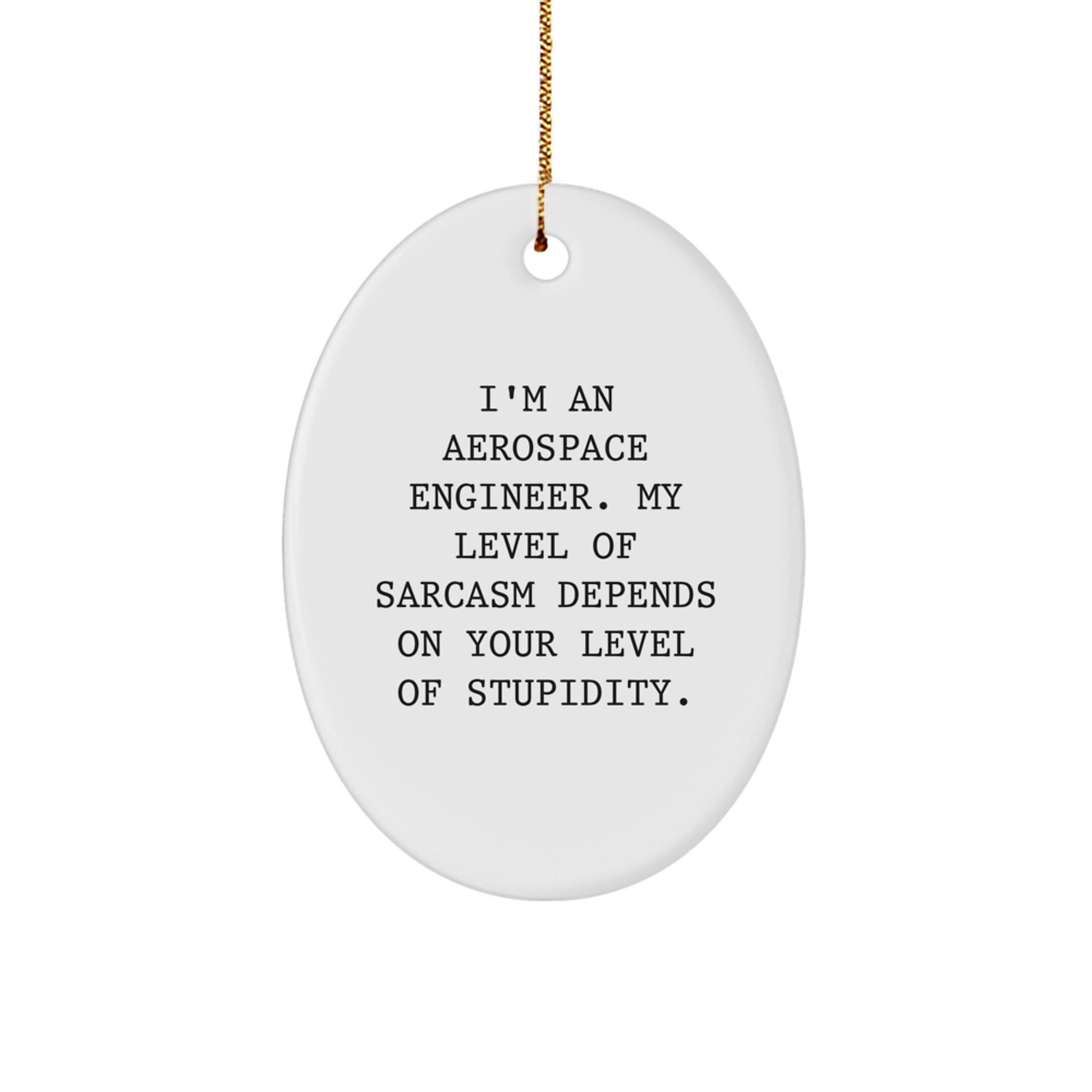 Aerospace Engineer Oval Ornament, Funny Quote, Gifts from Friends, for Christmas - Image 1