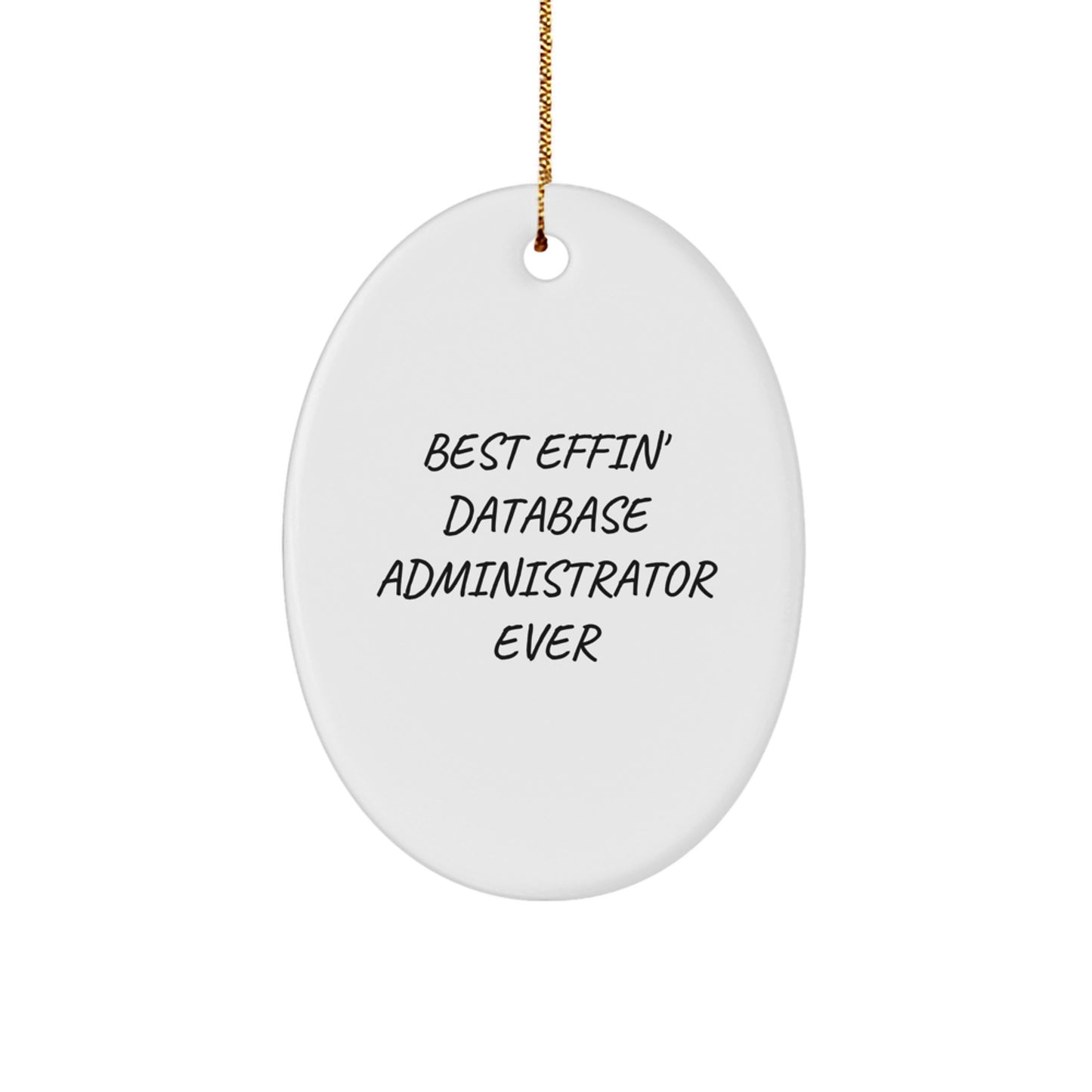 Funny Database Administrator Oval Ornament Gifts from Friends for Christmas Unique Presents - Image 1