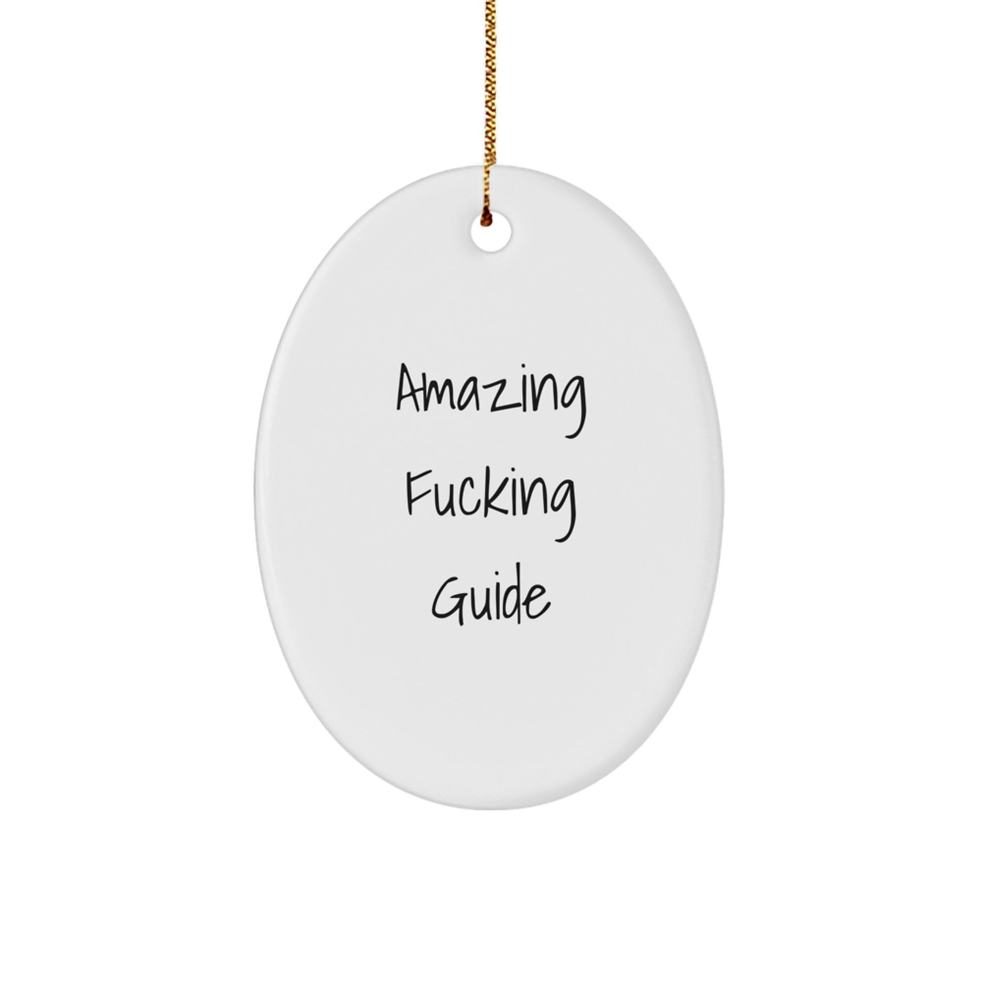 A Funny Guide Gift for Him Oval Ornament Christmas Unique Decor - Image 1