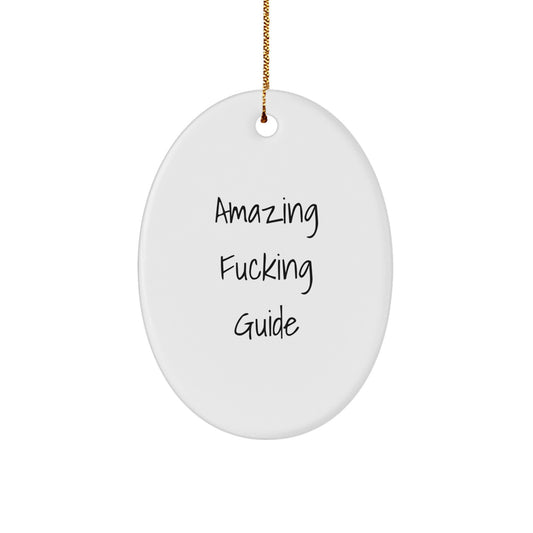 A Funny Guide Gift for Him Oval Ornament Christmas Unique Decor - Image 1