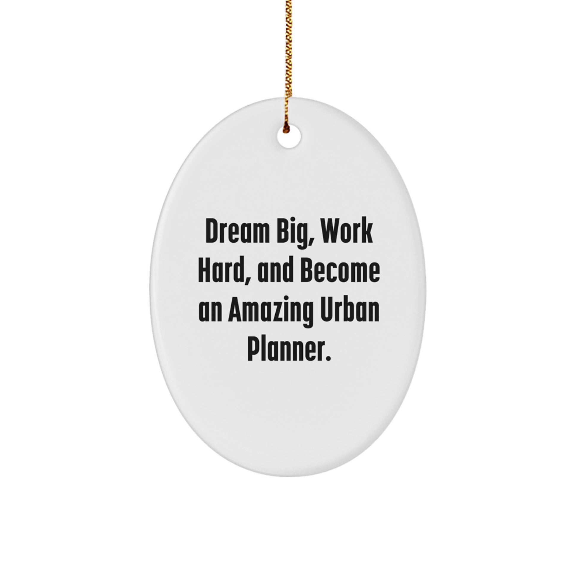 Urban Planner Gifts from Friends, Gifts for Urban Planner Dream Big, Work Hard, Oval Ornament Christmas Decor - Image 1