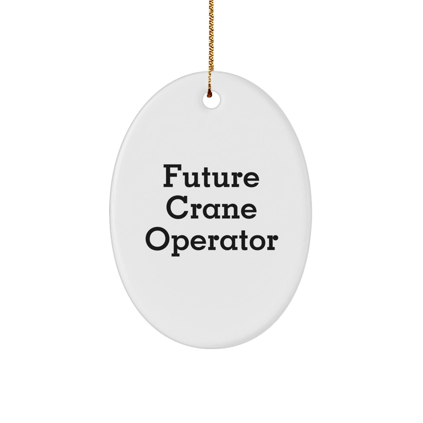 Funny Future Crane Operator Gifts, Crane Operator Oval Ornament, Inspirational Quote, Christmas Unique Gifts from Friends, for Crane Operator, Men, Women, Coworkers, Family - Image 1