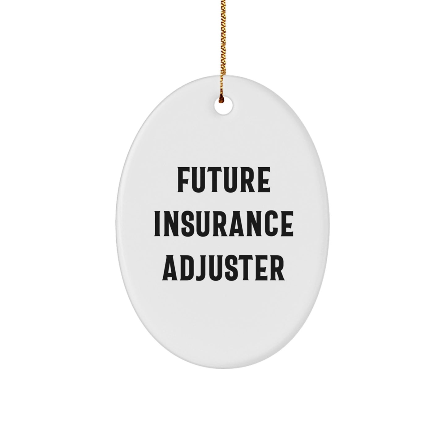 Funny Future Insurance Adjuster Oval Ornament Gifts from Family for Christmas - Image 1