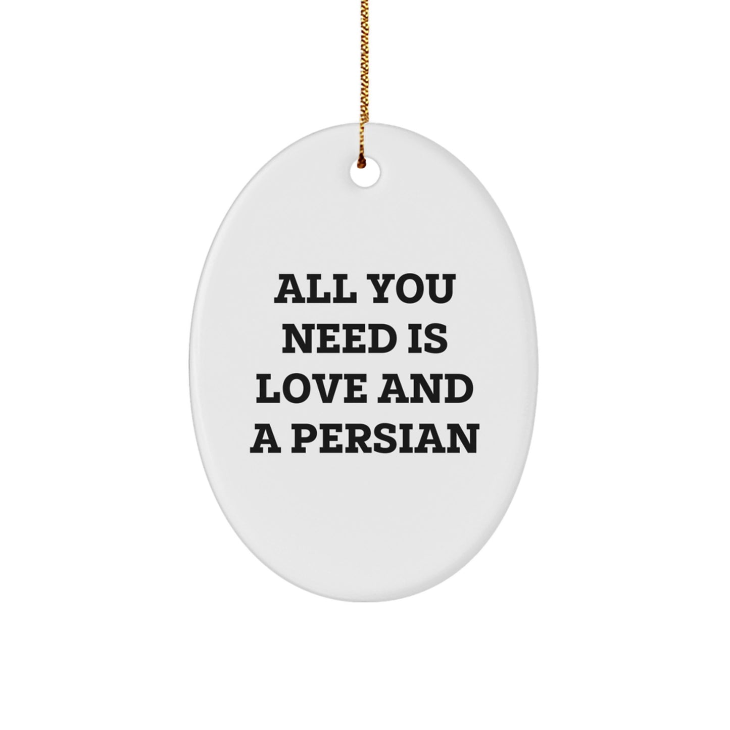 Funny Persian Cat Oval Ornament Gifts from Friends for Family Christmas Unique Decorations - Image 1