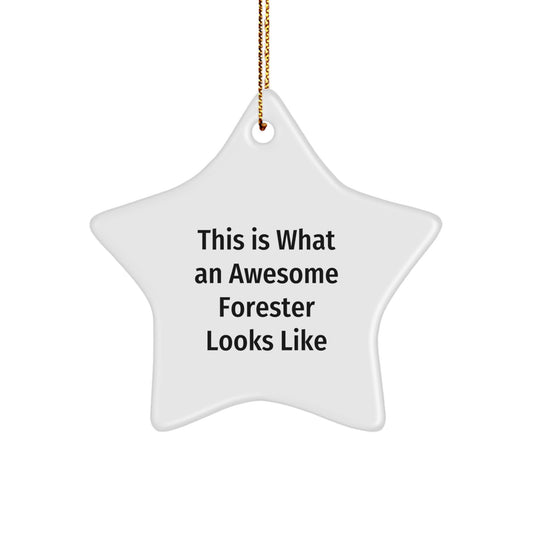 Forester Gifts, Christmas Unique Star Ornaments, 'This Is What An Awesome Forester Looks Like' Funny Quote, Gifts from Family, for Forester - Image 1