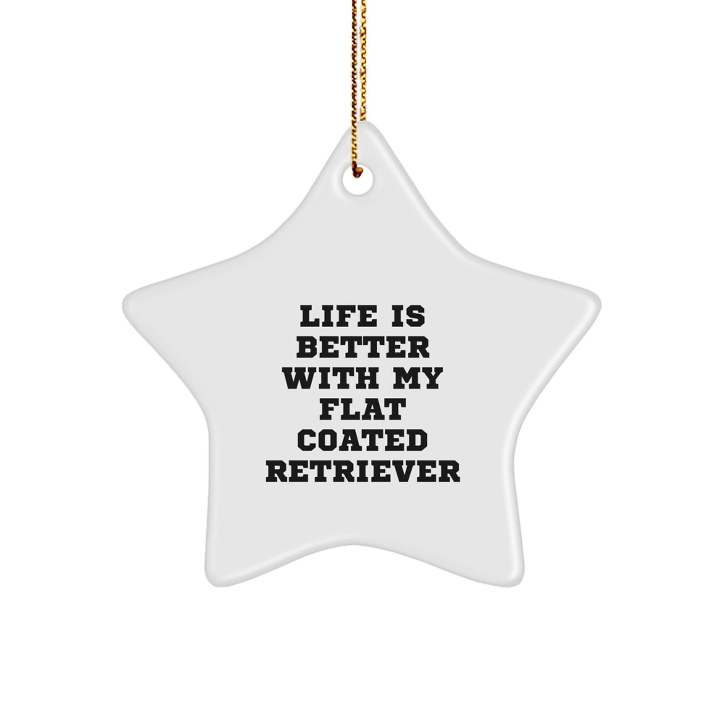 Flat Coated Retriever Dog Lovers' Christmas Unique Gift, 'Life Is Better With My Flat Coated Retriever' Star Ornament, Unique Christmas Unique Gifts from Family to Friends - Image 1