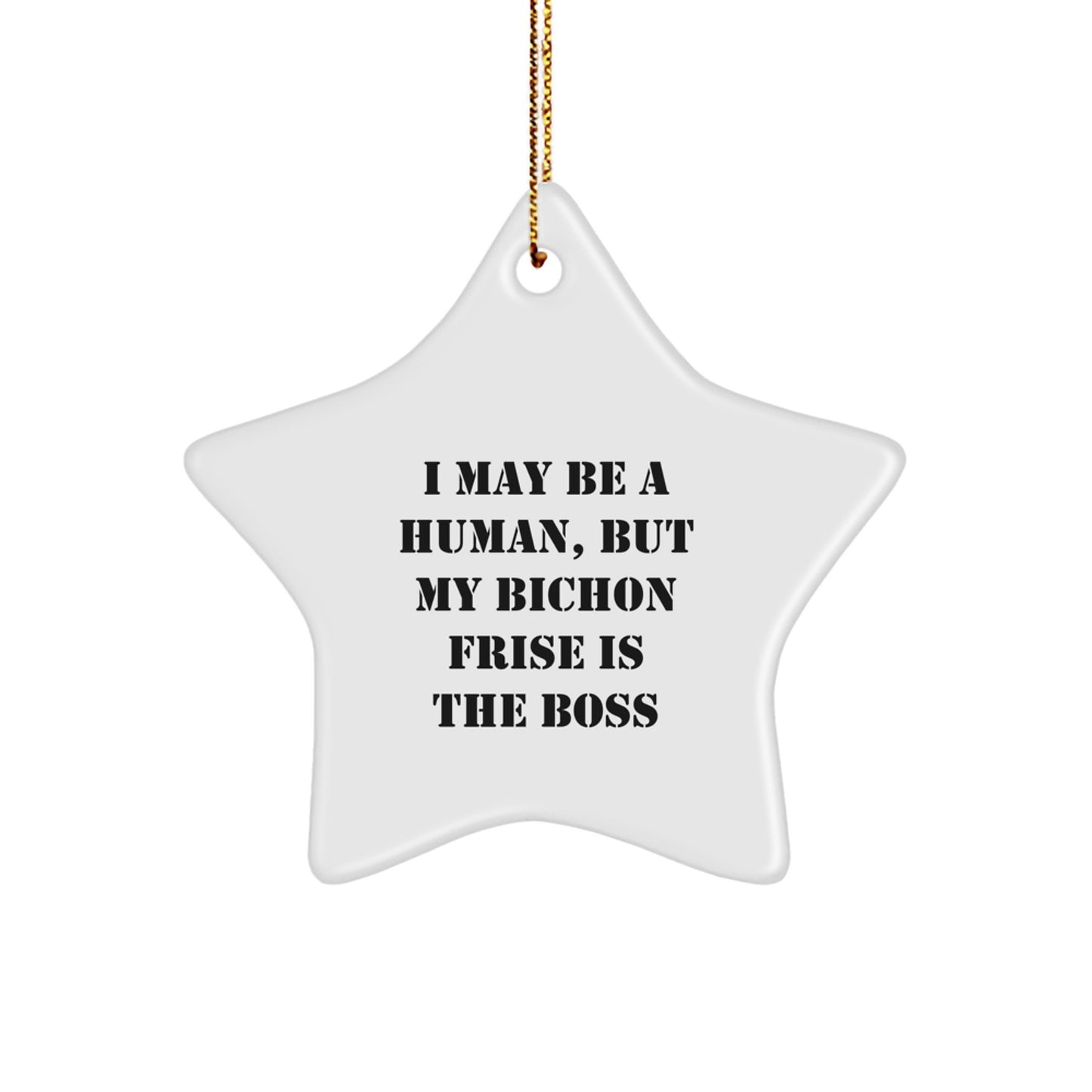 Funny Bichon Frise Dog Christmas Unique Gifts from Family, White Star Ornament - Image 1