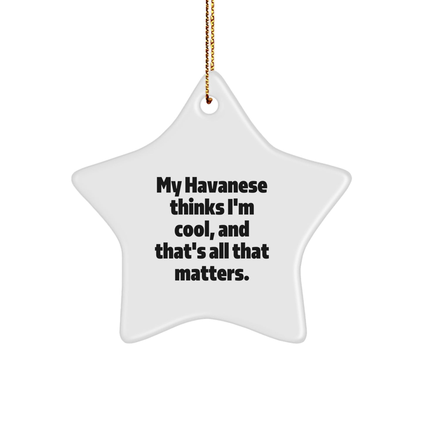 Havanese Dog Lovers' Christmas Unique Gift, Funny Star Ornament for Friends from Havanese Dog Owners, Gifts for Havanese Dog Enthusiasts, My Havanese Thinks I'm Cool, And That's All That Matters. - Image 1