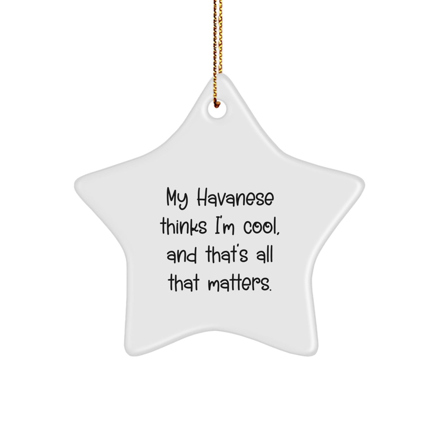 Havanese Dog Lover's Christmas Unique Gift, Funny Star Ornament, 'My Havanese Thinks I'm Cool, And That's All That Matters.' from Friends - Image 1