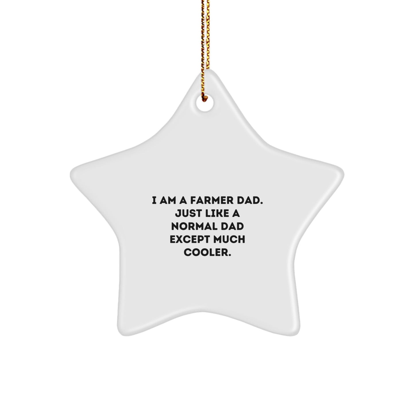 Funny Farmer Gifts from Family - Star Ornament for Farmer Dad Like a Normal Dad Except Much Cooler, Unique Christmas Unique Gifts for Men, Women, and Friends - Image 1