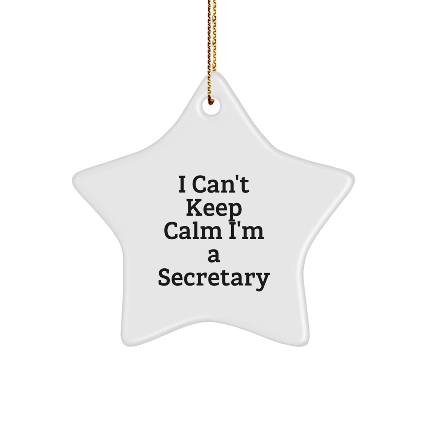 Funny I Can't Keep Calm I'm A Secretary Christmas Office Star Ornament Gifts from Friends for Secretaries - Image 1