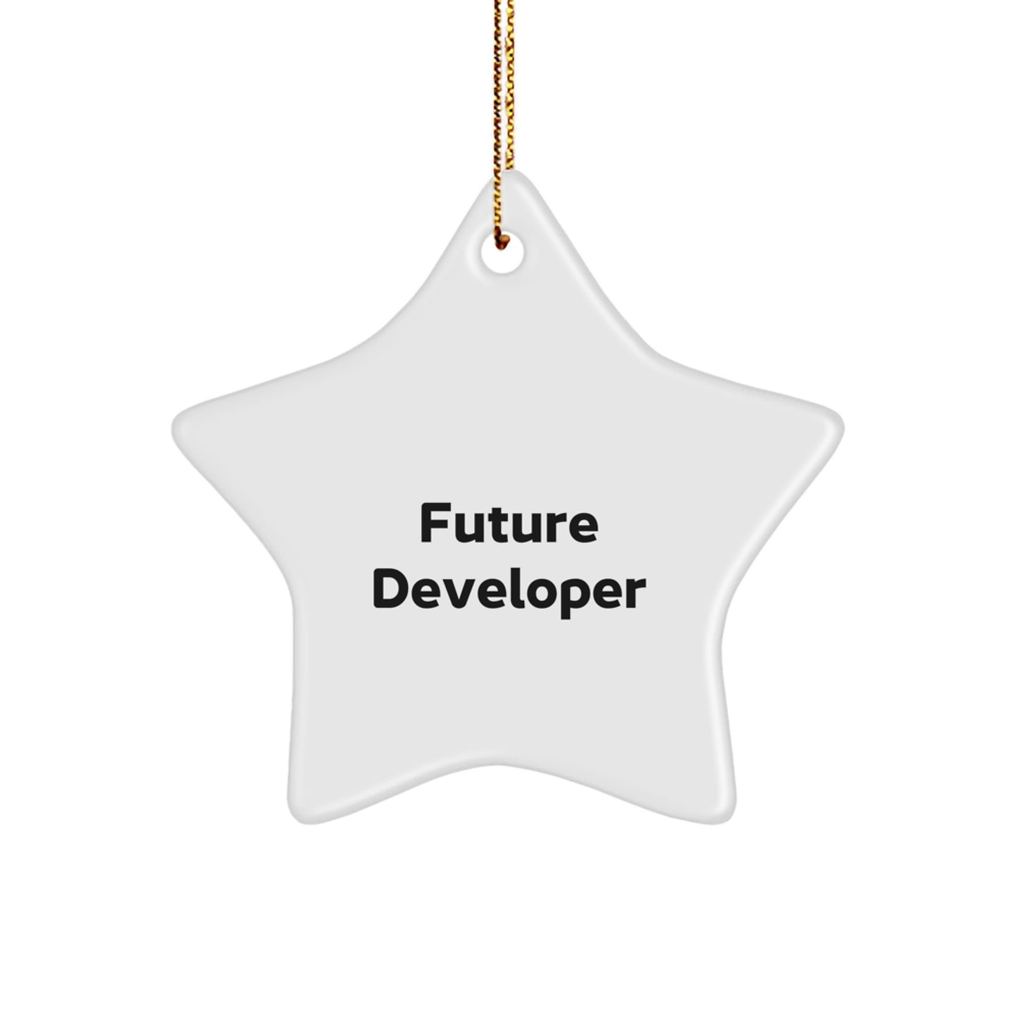 Funny Future Developer Star Ornament Gifts from Family, Gifts for Developer, Christmas Unique Gifts - Image 1