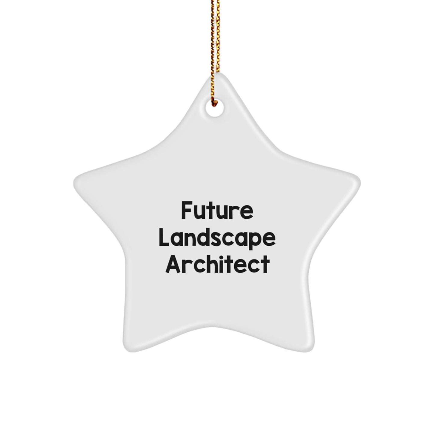 Funny Future Landscape Architect Star Ornament Gifts from Family for Men - Christmas Unique Star Shaped Decoration - Image 1