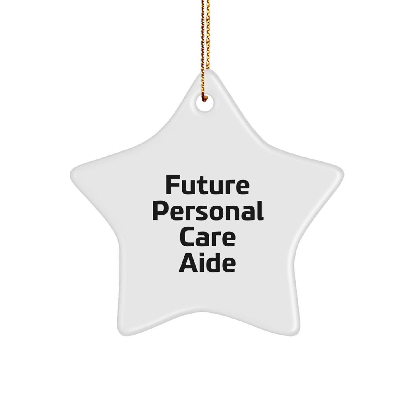 Gifts from Friends for Future Personal Care Aide - Funny Star Ornament, Personal Care Aide Gifts, Christmas Unique Gifts for Her, Him, or Friends - Image 1