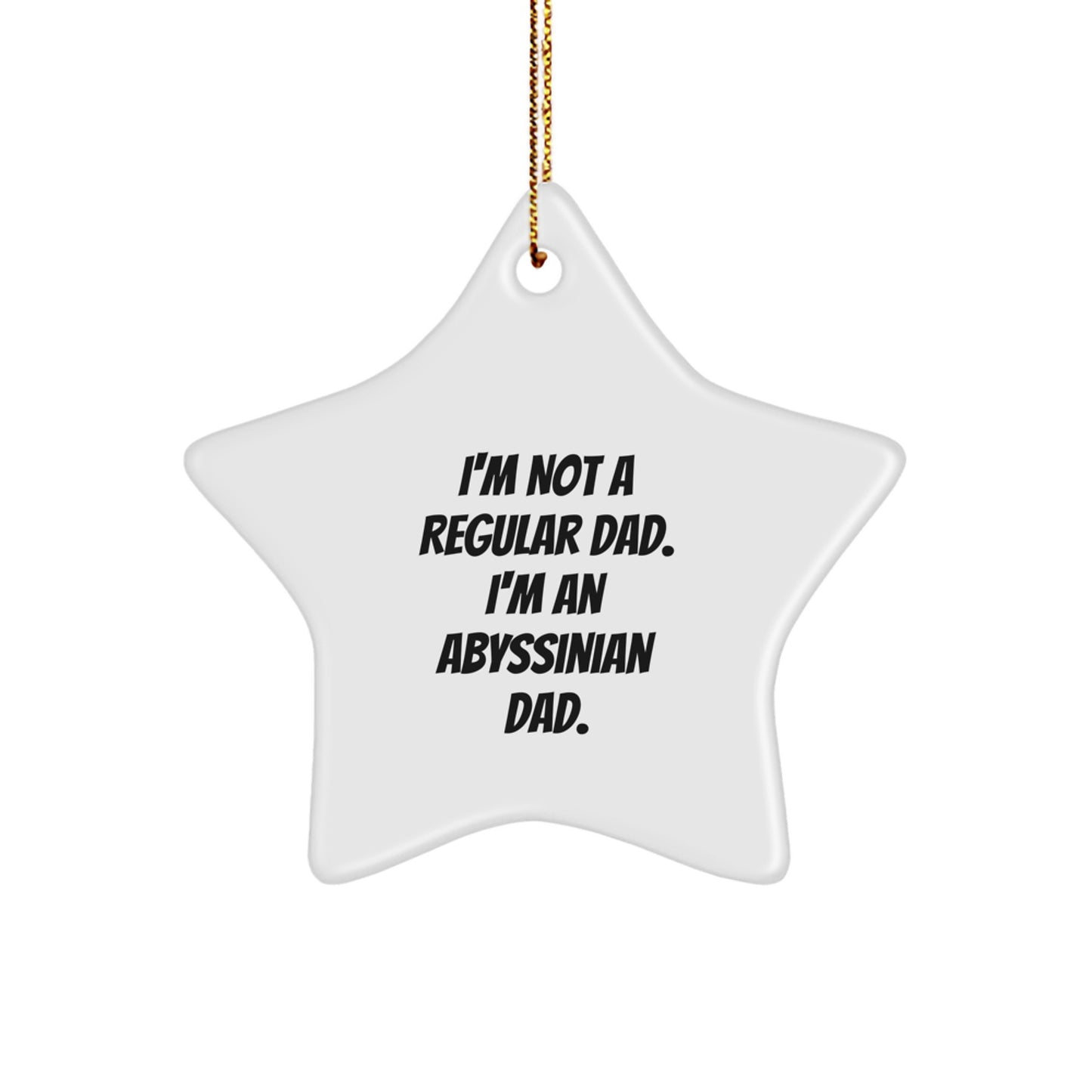 Abyssinian Cat Dad Gifts from Friends, Unique Christmas Star Ornament, 'I'm Not A Regular Dad. I'm An Abyssinian Dad.' Quote, White Star Shaped Decoration, Gifts for Men, Women, Family, and Friends - Image 1