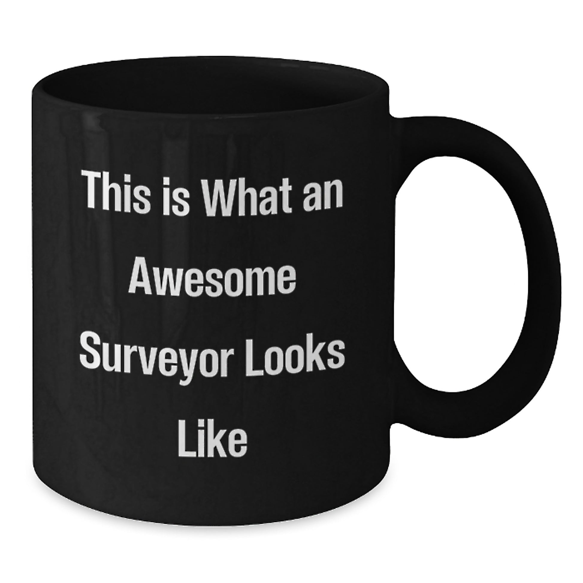 Funny Surveyor Christmas Unique Gifts from Friends to Surveyor Men Black Coffee Mug - Additional