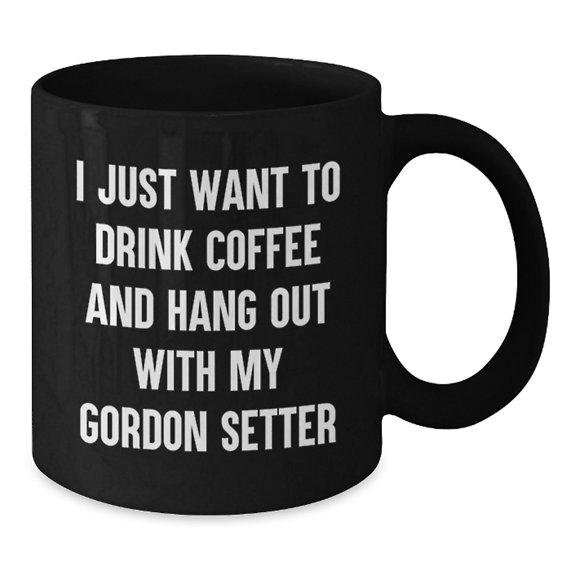 Gordon Setter Dog Lover's Funny Coffee Mug for Birthday Unique Gifts from Friends or Family - 'I Just Want To Drink Coffee And Hang Out With My Gordon Setter' Quote, Black Coffee Mug - Additional