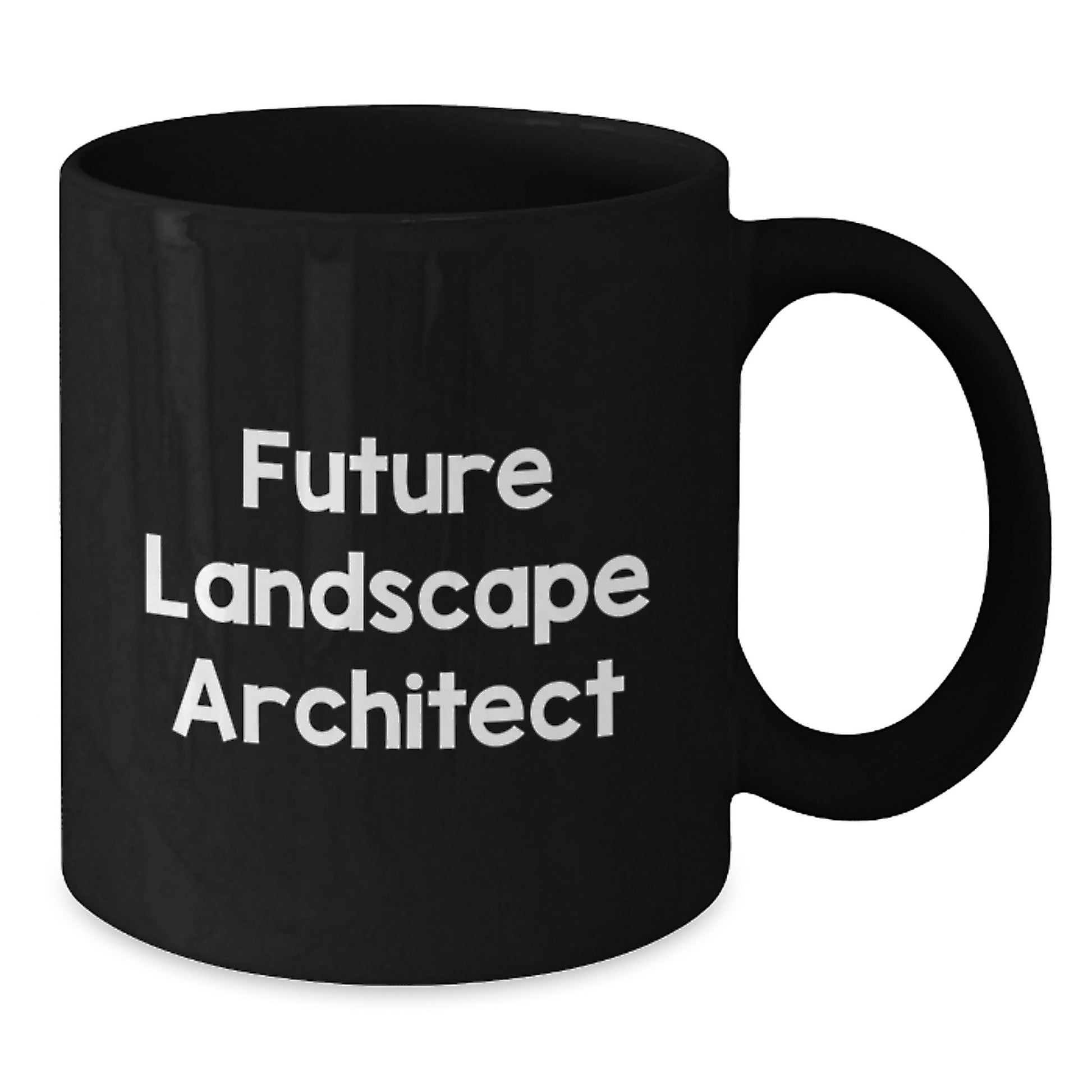 Funny Landscape Architect Quotes Christmas Unique Gifts for Men Women Friends Family, Black Coffee Mug, Perfect for Future Landscape Architect - Additional