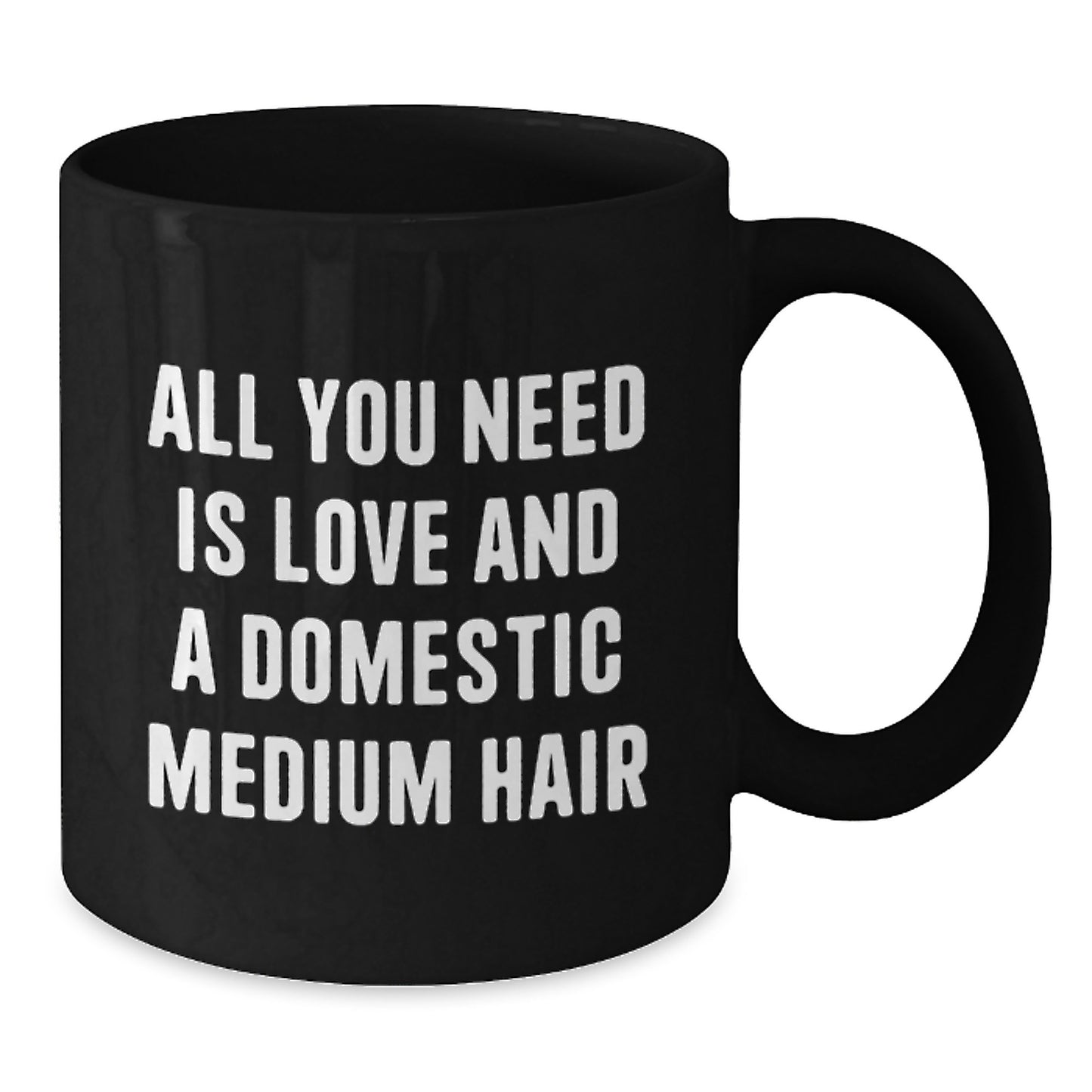 Funny Domestic Medium Hair Cat Lover Gifts from Friends for Christmas Unique Mugs - All You Need Is Love And A Domestic Medium Hair Black Coffee Mug - Additional