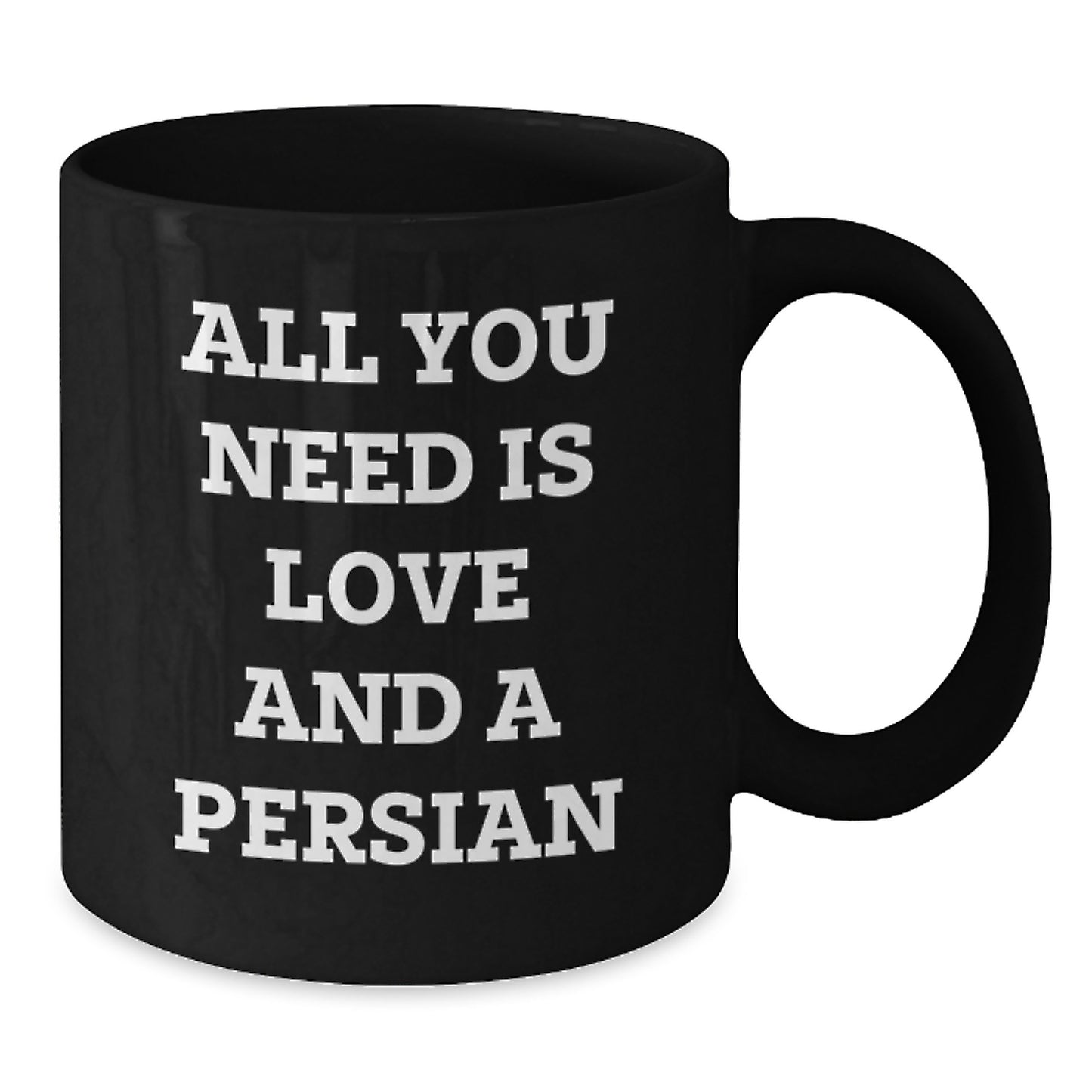Funny Persian Cat Black Coffee Mug Gifts from Men to Women Friends Family for Christmas Unique Presents - Additional