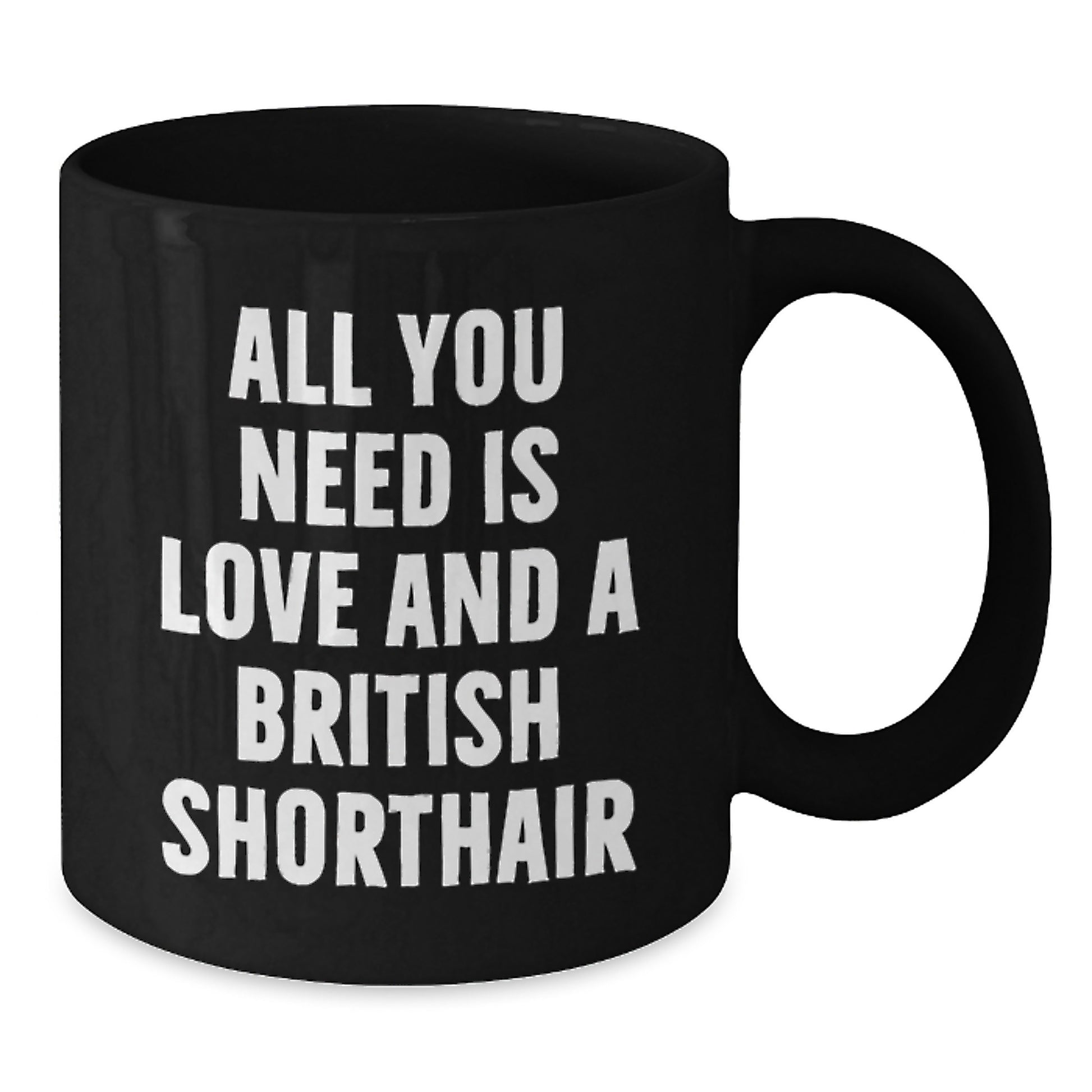 Funny British Shorthair Cat Gifts for British Shorthair Cat Lovers, Black Coffee Mug with Inspirational Quote, Gifts from Friends, Family, or Coworkers this Christmas - Additional