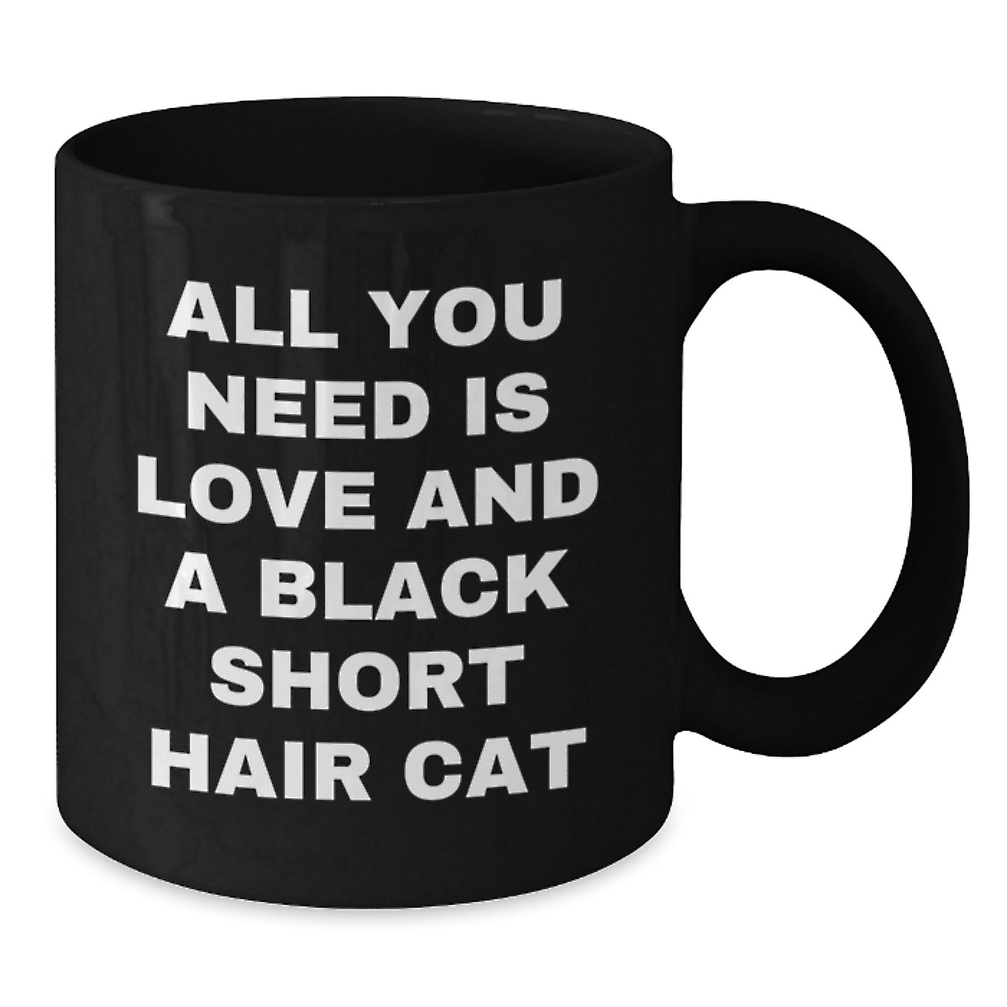 Funny Black Short Hair Cat Black Coffee Mugs for Christmas Unique Gifts from Friends and Family - Additional
