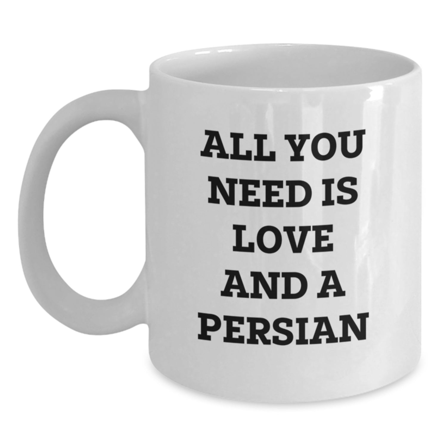Funny Persian Cat Gifts for Christmas, White Coffee Mug with Quote All You Need Is Love And A Persian, Gifts from Friends to Family - Main