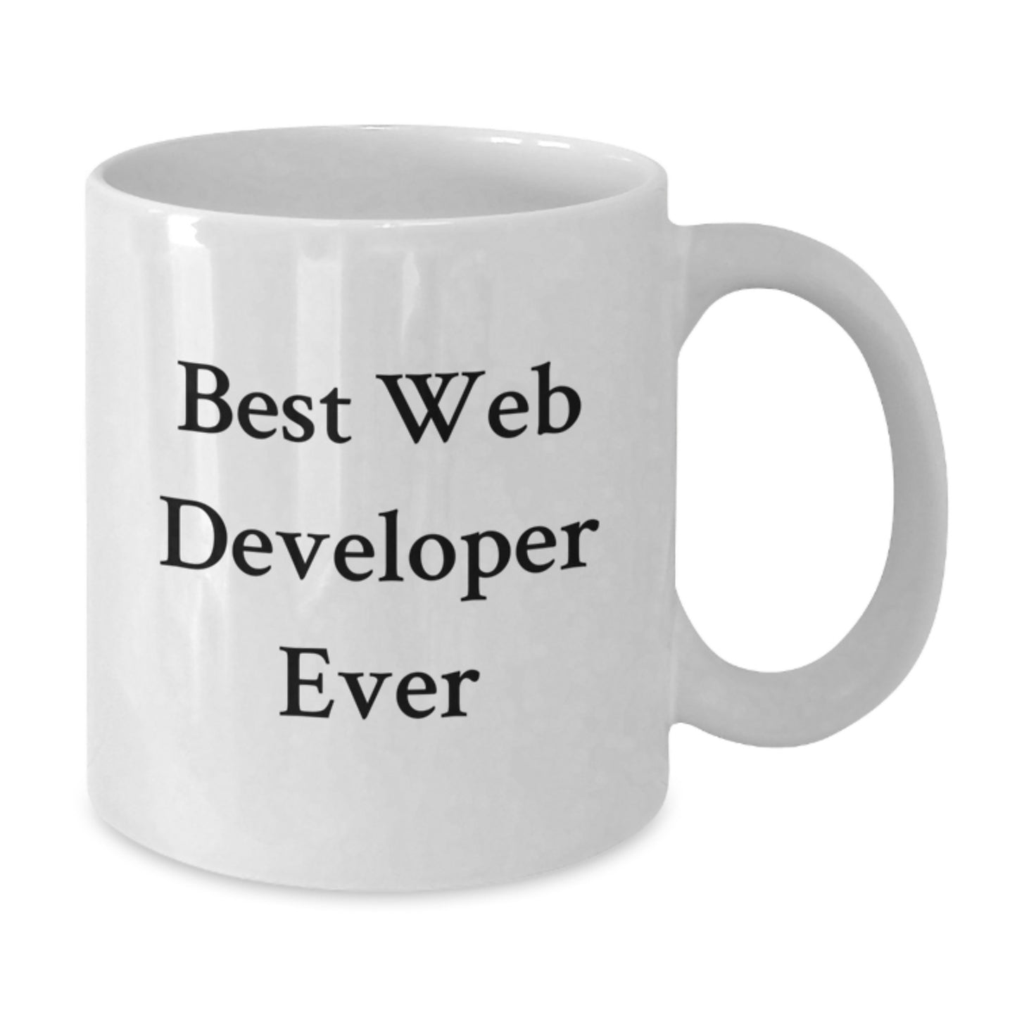 Funny Web Developer Gifts for Him, Best Ever Quote, Unique White Coffee Mug for Christmas - Additional