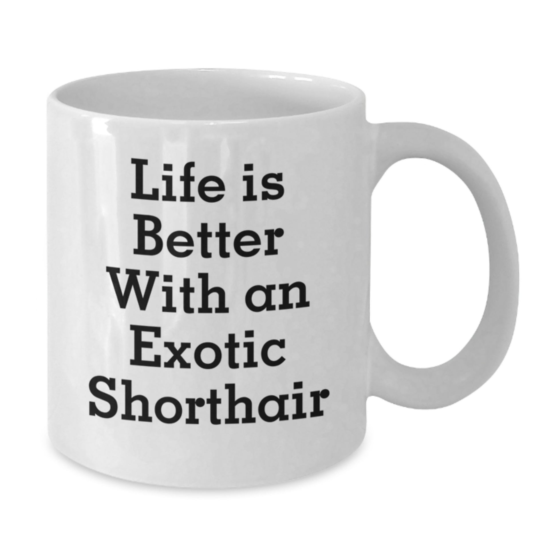 Exotic Shorthair Cat Lovers Gifts from Friends for Graduation Celebrations - Life Is Better With An Exotic Shorthair, Funny White Coffee Mug - Additional