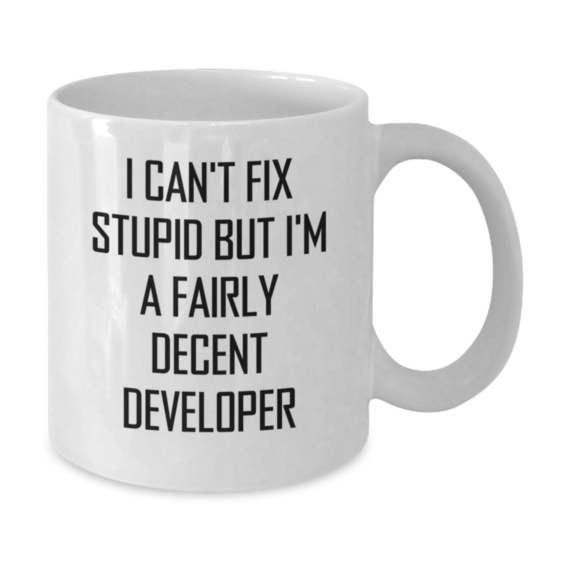 Funny Developer Gifts from Friends and Family - I Can't Fix Stupid But I'm A Decent Developer Inspirational White Coffee Mug for Coworkers at Christmas - Additional
