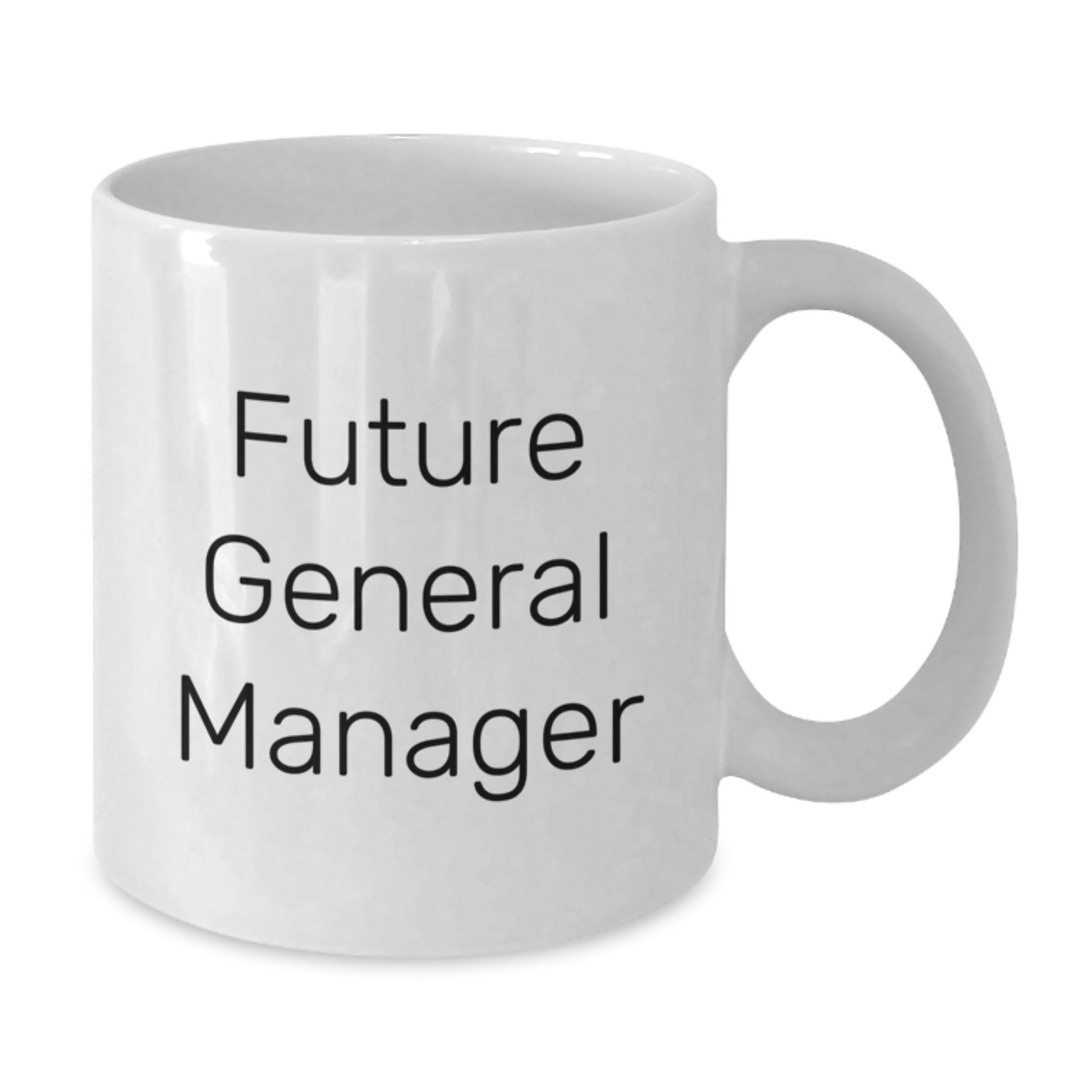 Funny General Manager Gifts from Friends - Future General Manager White Coffee Mug, Birthday Unique Present - Additional