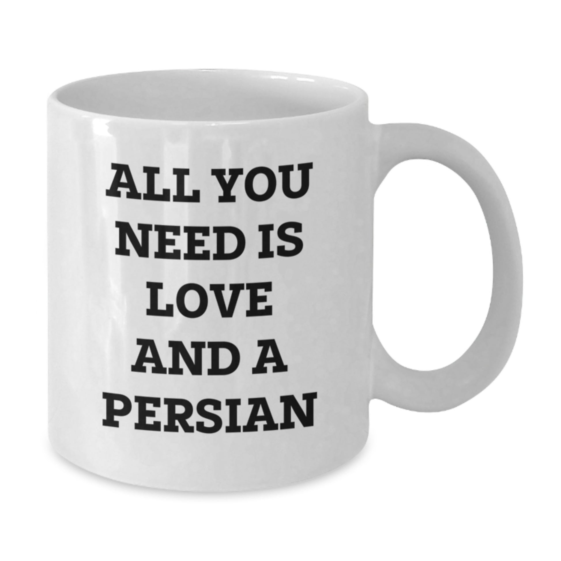 Funny Persian Cat Gifts for Christmas, White Coffee Mug with Quote All You Need Is Love And A Persian, Gifts from Friends to Family - Additional