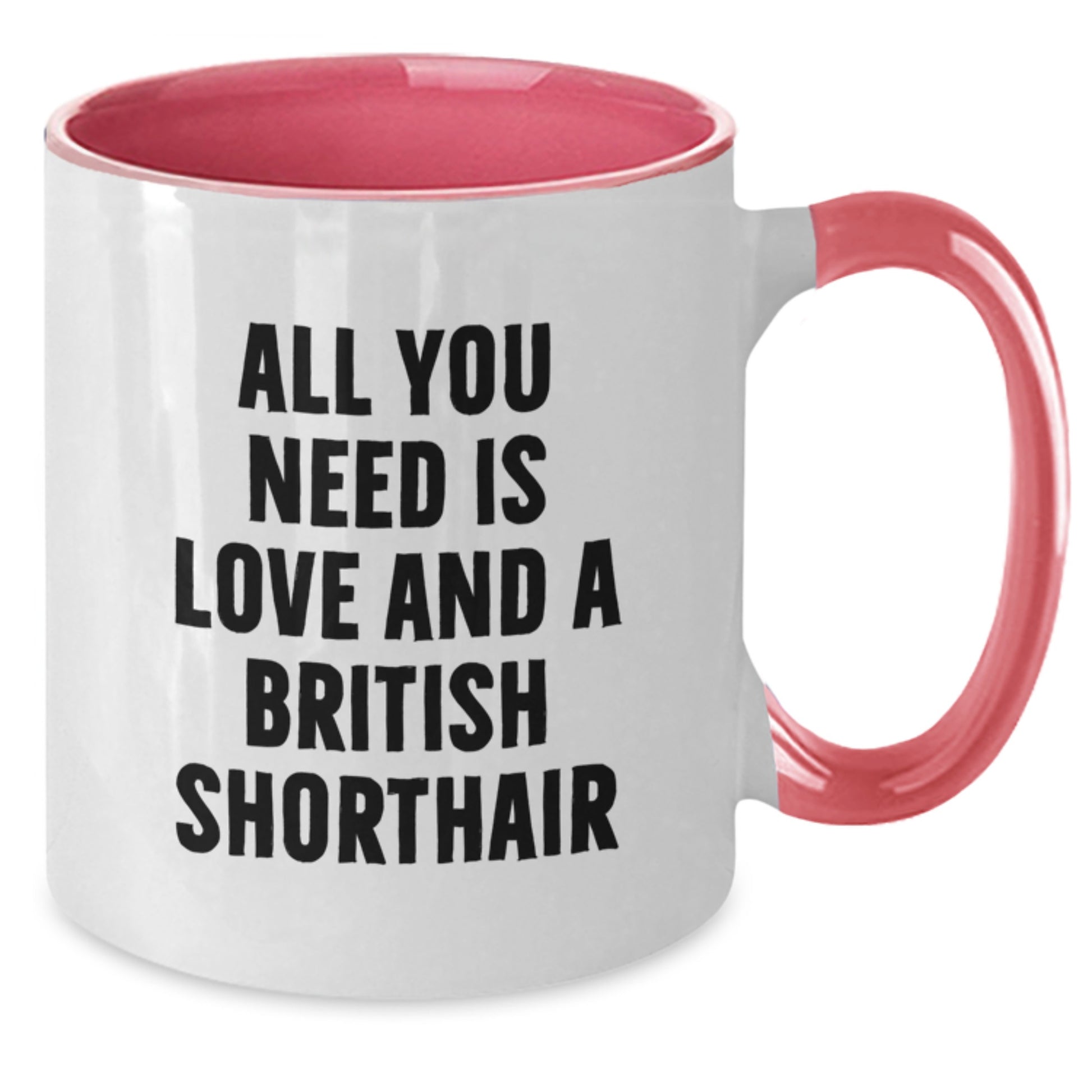 British Shorthair Cat Lover Gifts from Men to Friends Unique Two Tone Coffee Mug for Christmas Morning - Additional