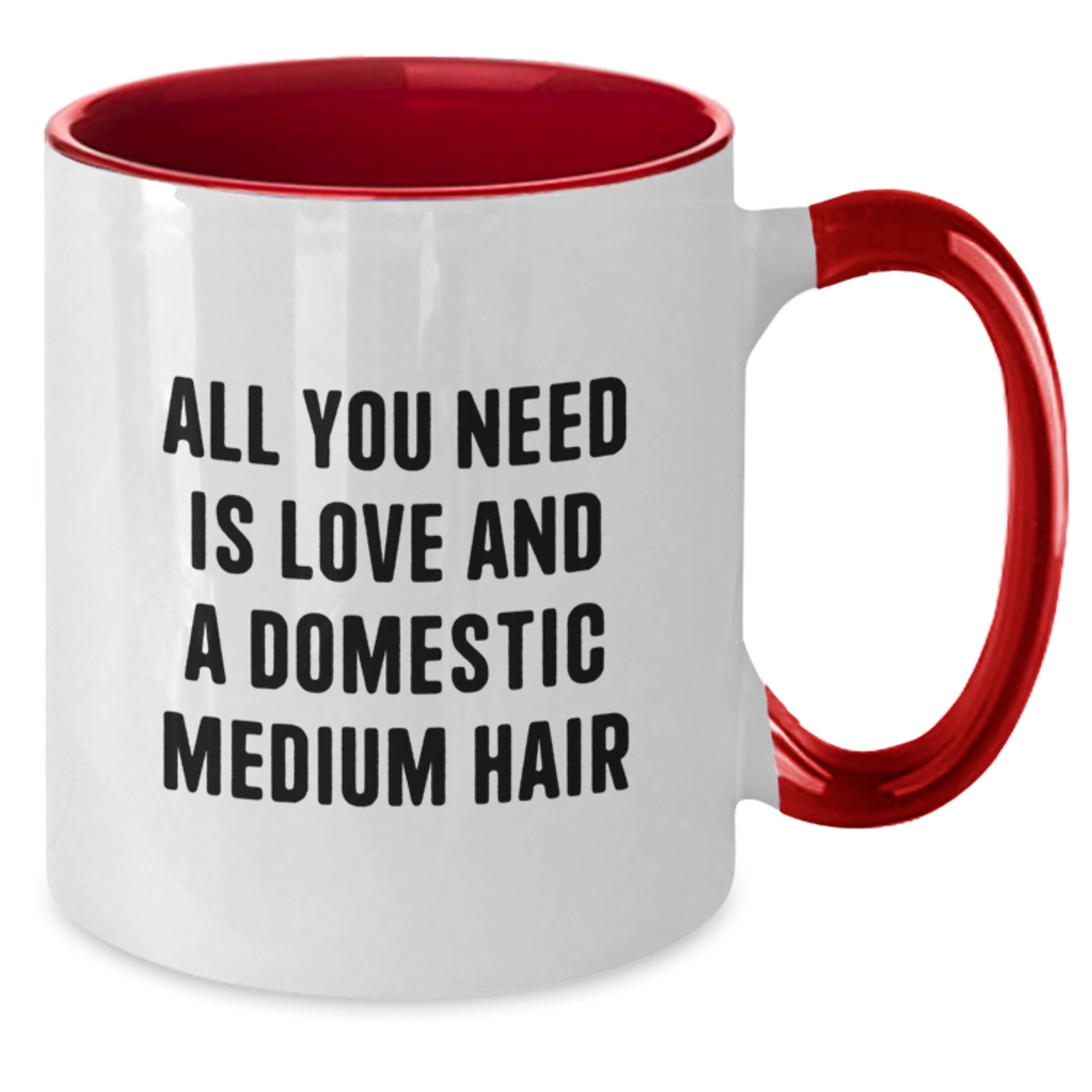 Funny Domestic Medium Hair Cat Two Tone Coffee Mug Gifts from Family for Christmas - 'All You Need Is Love And A Domestic Medium Hair' - Additional