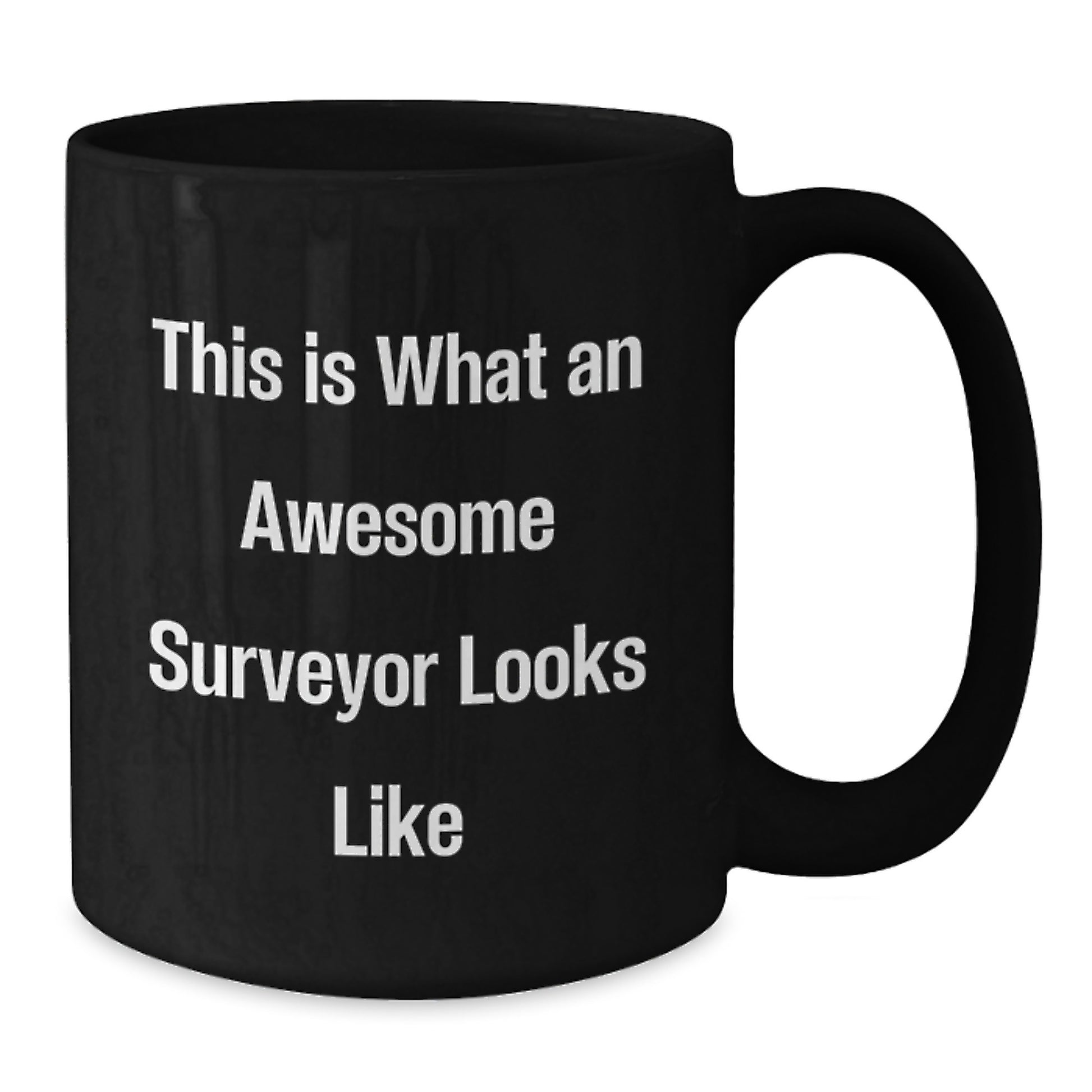 Funny Surveyor Christmas Unique Gifts from Friends to Surveyor Men Black Coffee Mug - Additional
