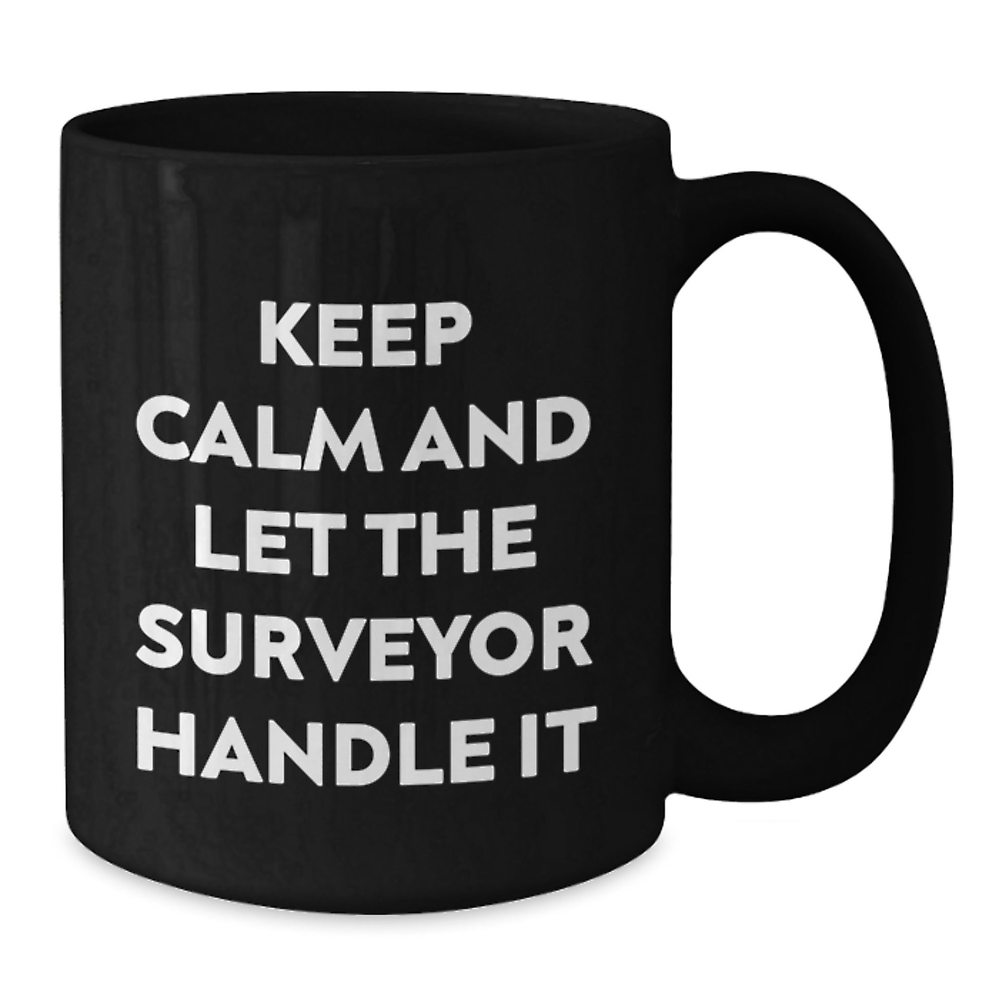 Funny Surveyor Gifts from Friends, Black Coffee Mug for Surveyor, Keep Calm And Let The Surveyor Handle It Christmas - Additional